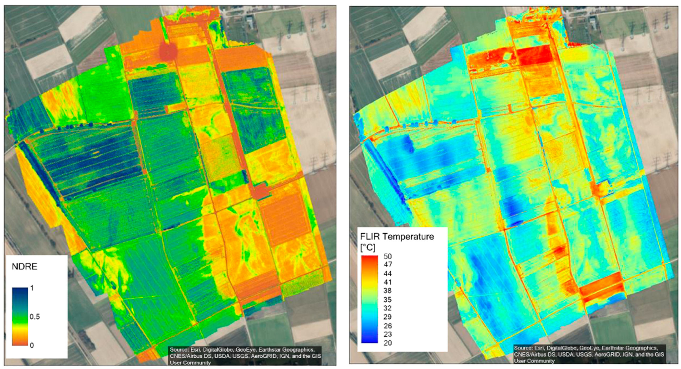 Remote Sensing | Free Full-Text | The SARSense Campaign: Air- and  Space-Borne C- and L-Band SAR for the Analysis of Soil and Plant Parameters  in Agriculture | HTML
