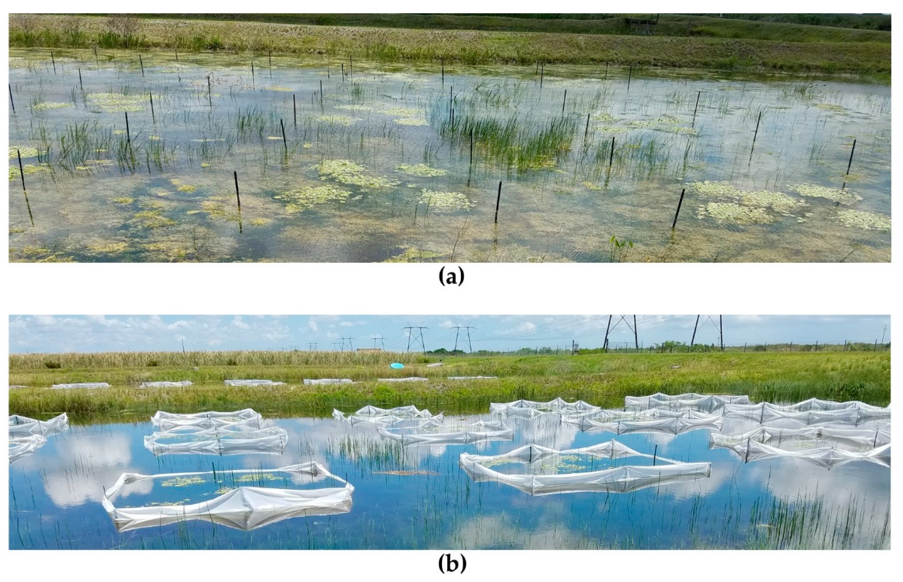 Remotesensing 13 00830 g003