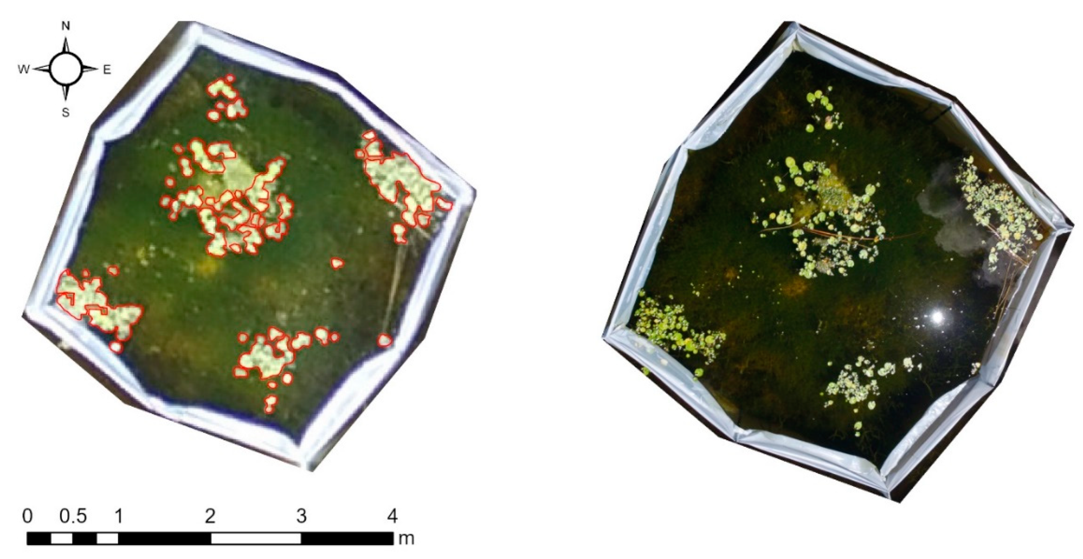 Remotesensing 13 00830 g005