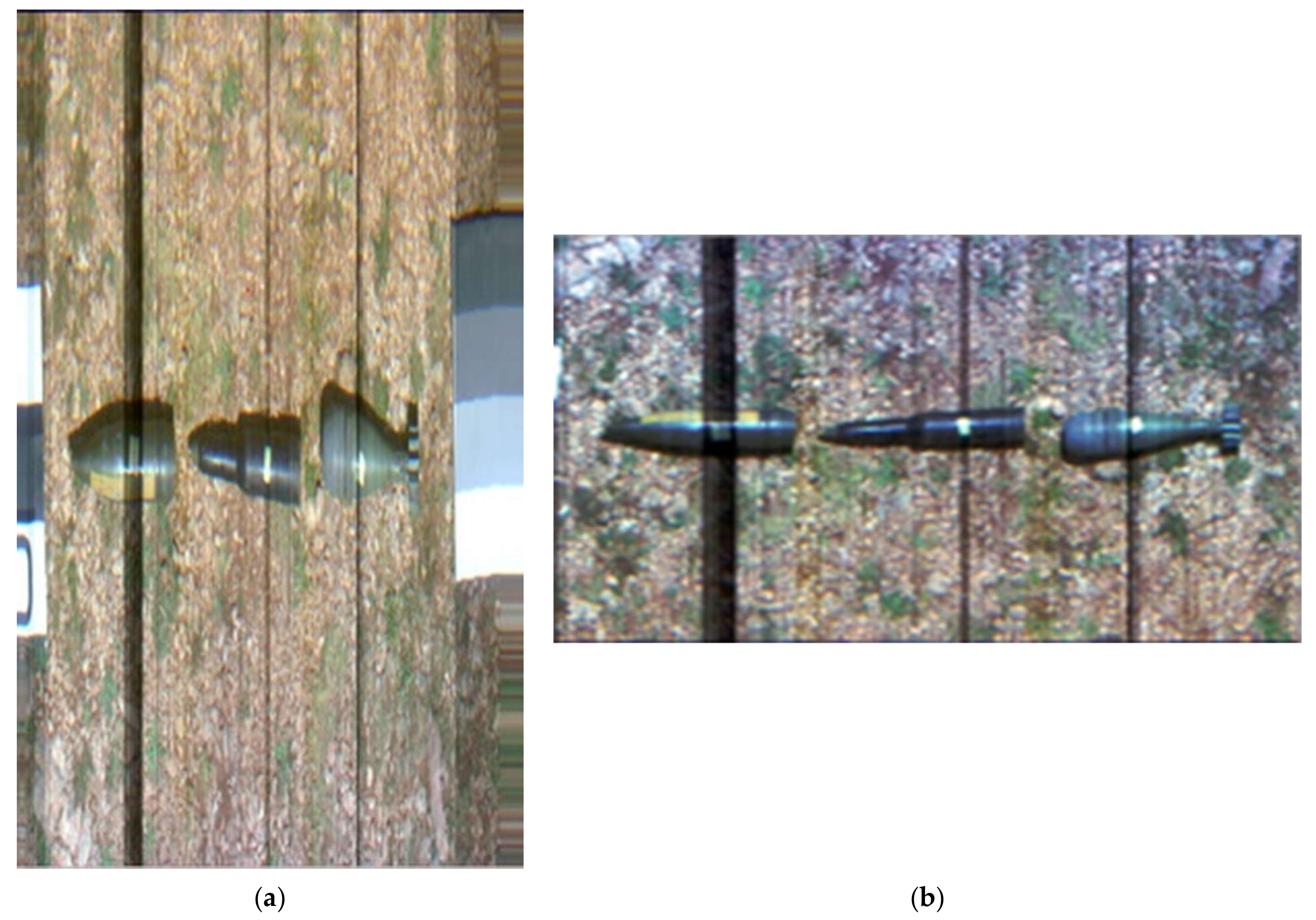 Remotesensing 13 00837 g004