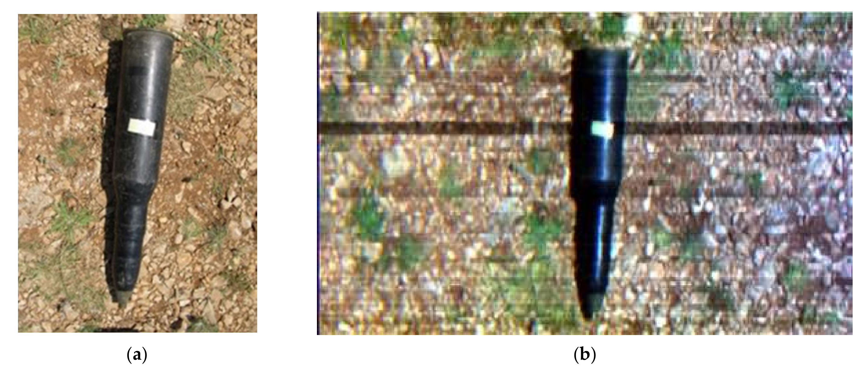 Remotesensing 13 00837 g006