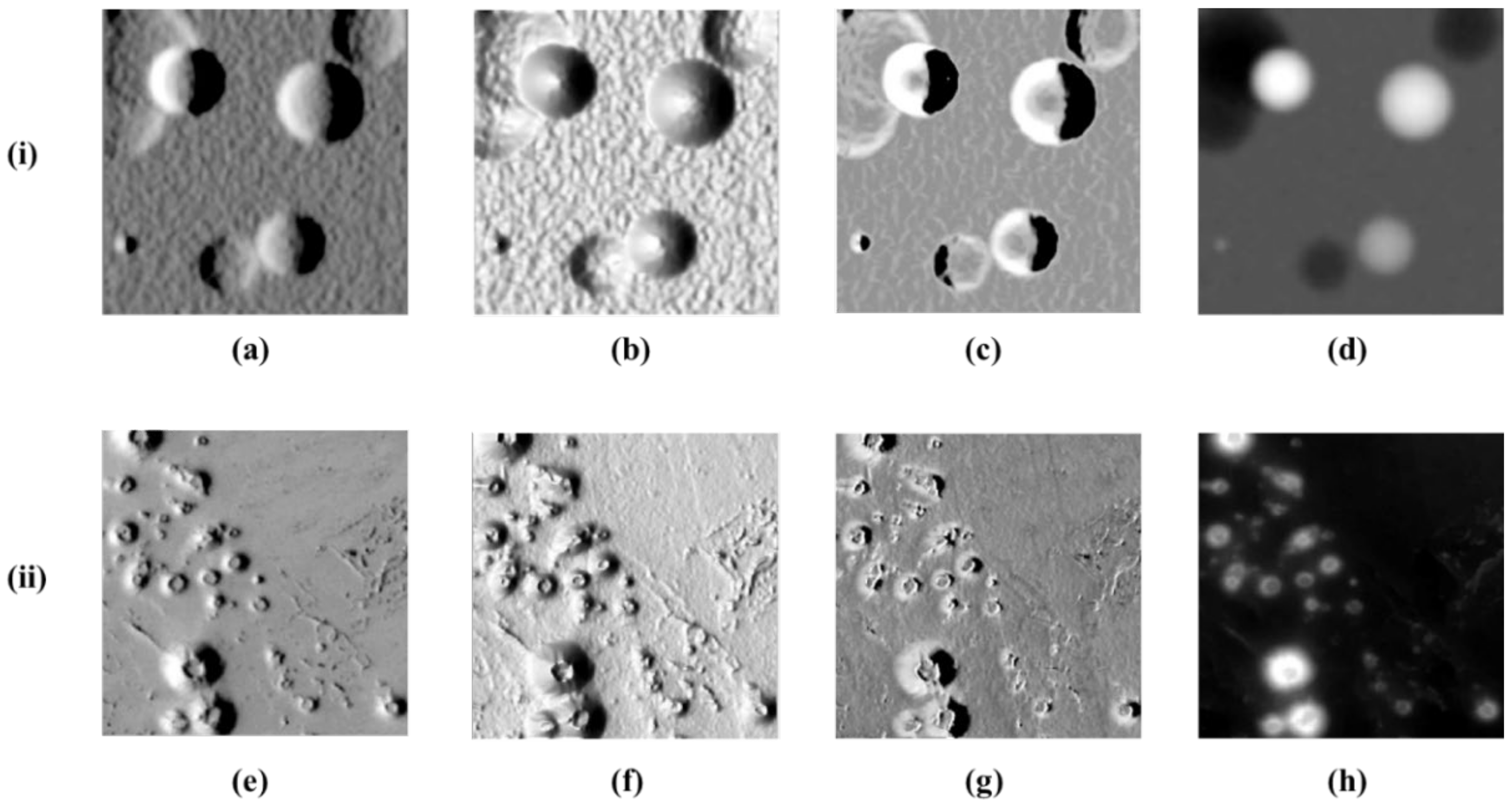 Remotesensing 13 00839 g003