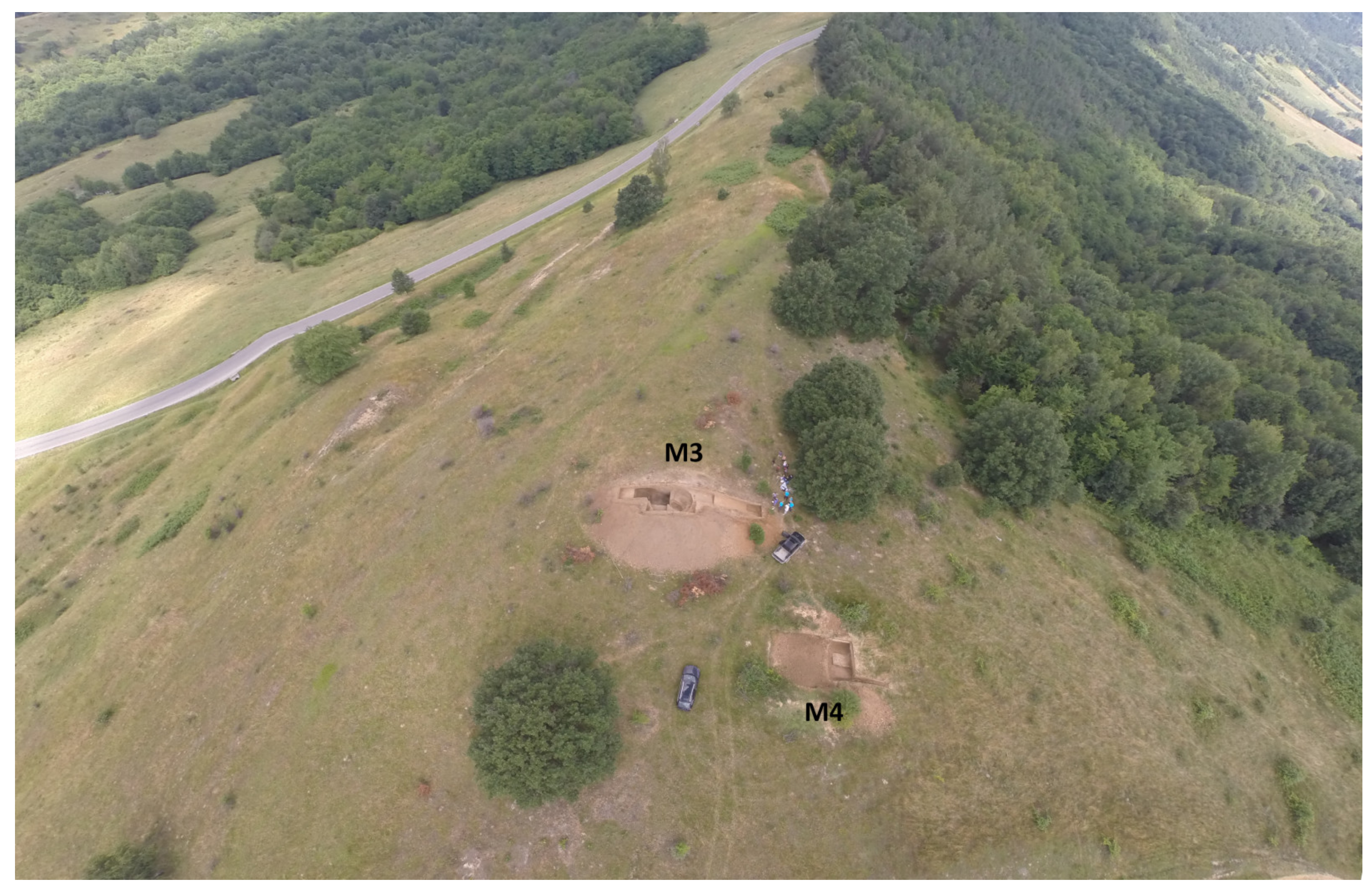 Remotesensing 13 00842 g003