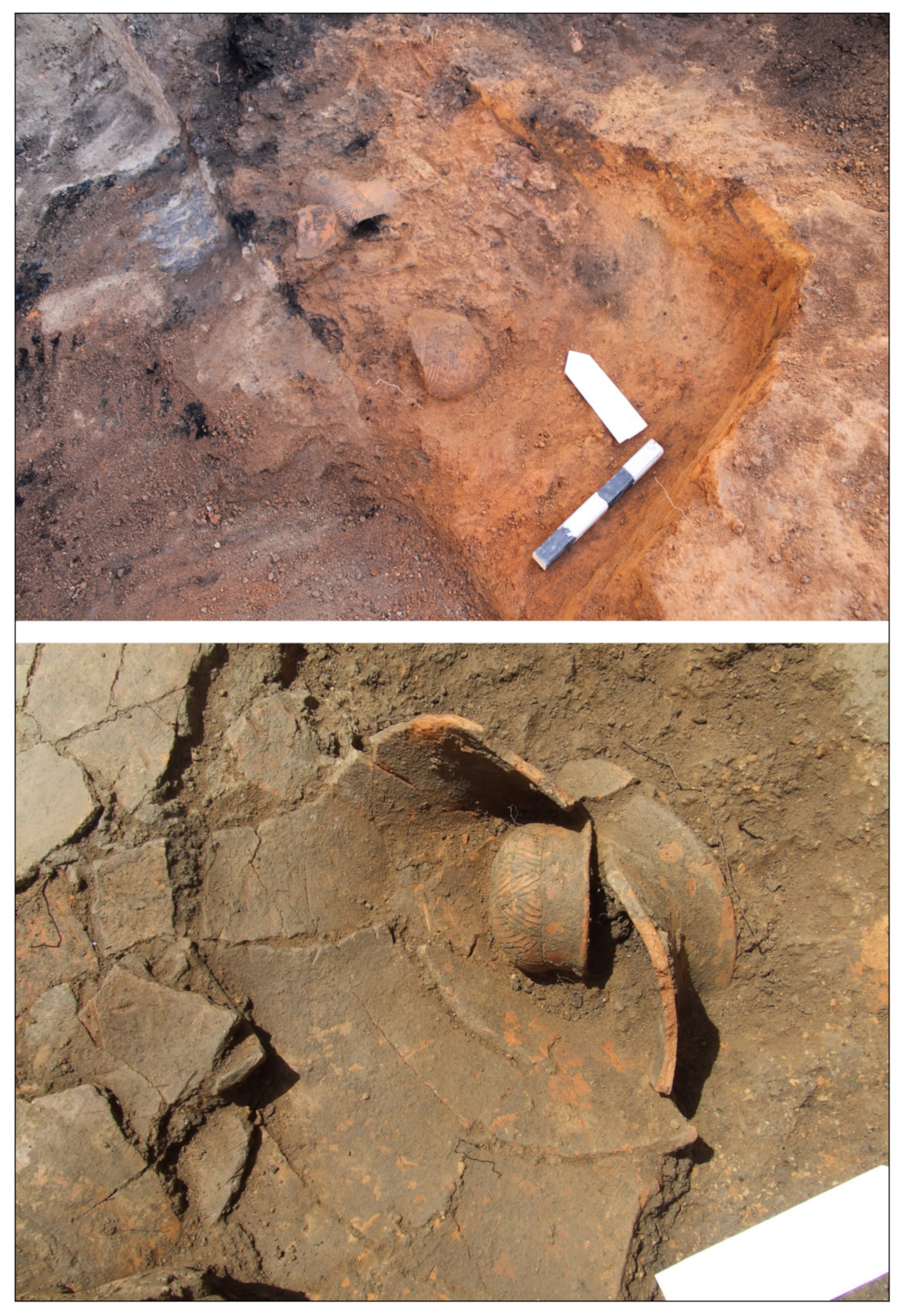 Remotesensing 13 00842 g013