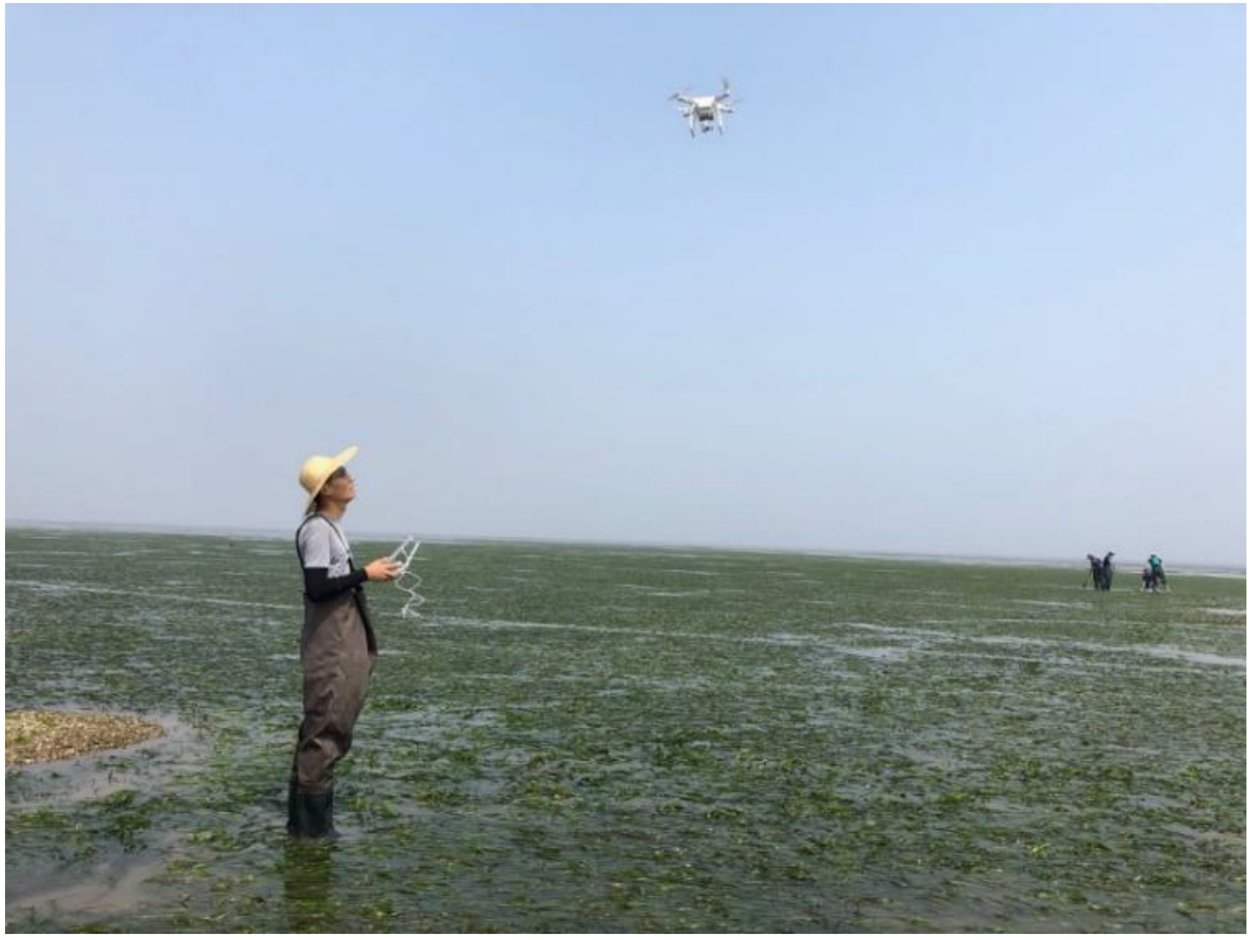 Remotesensing 13 00856 g003 Remotesensing 13 00856 g003