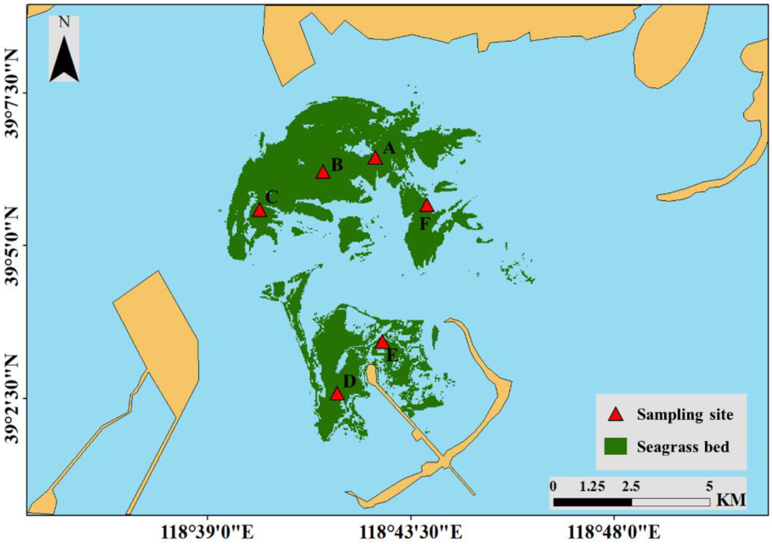 Remotesensing 13 00856 g004 Remotesensing 13 00856 g004