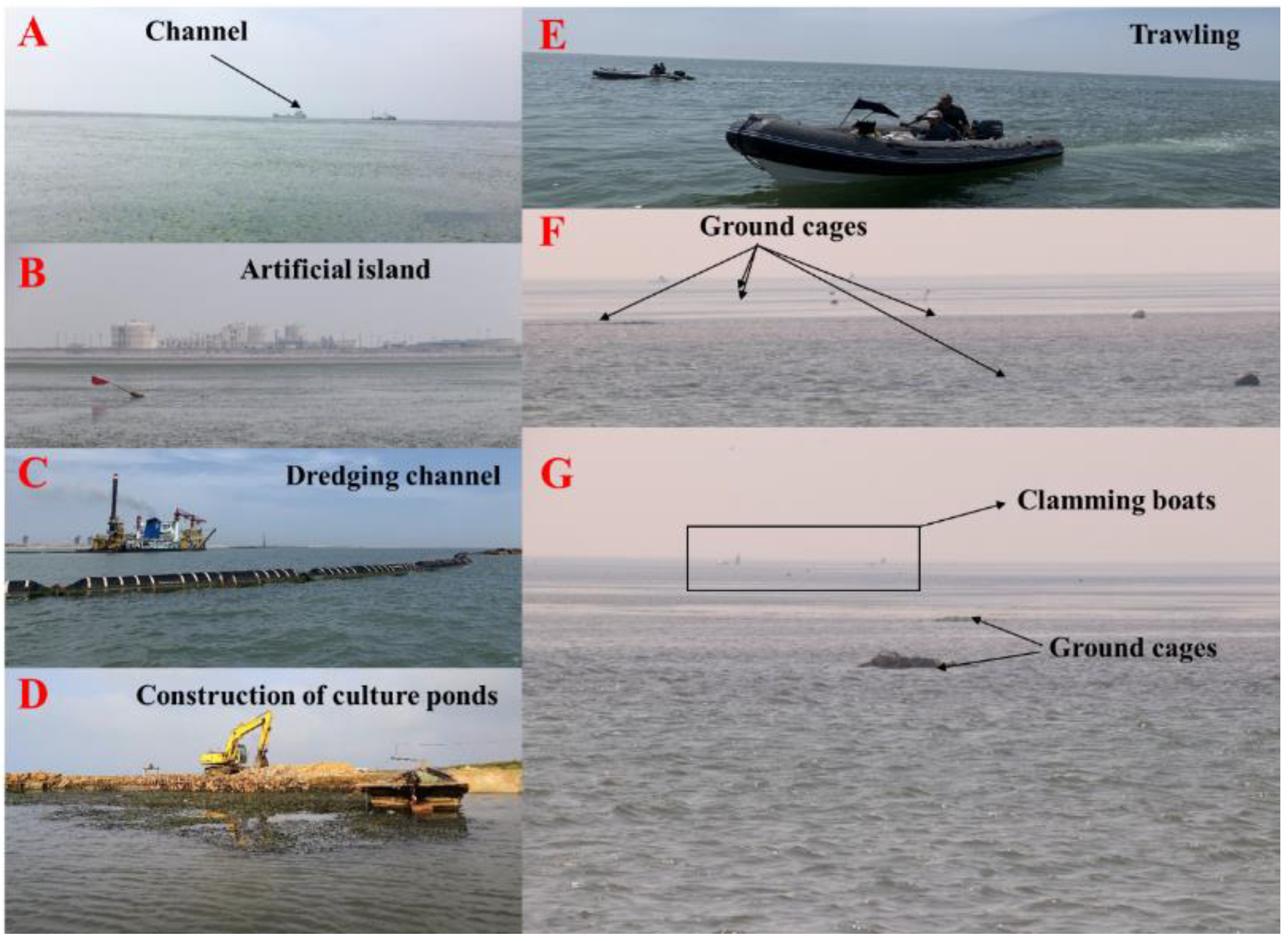 Remotesensing 13 00856 g012 Remotesensing 13 00856 g012