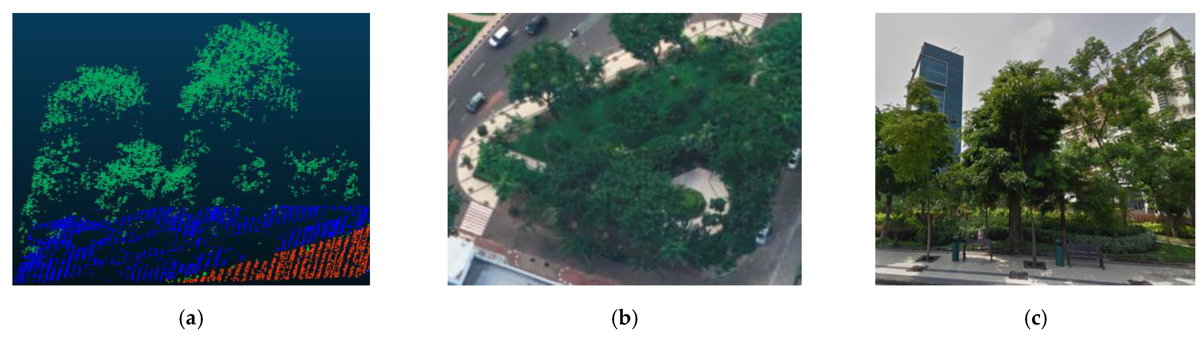 Remotesensing 13 00859 g004