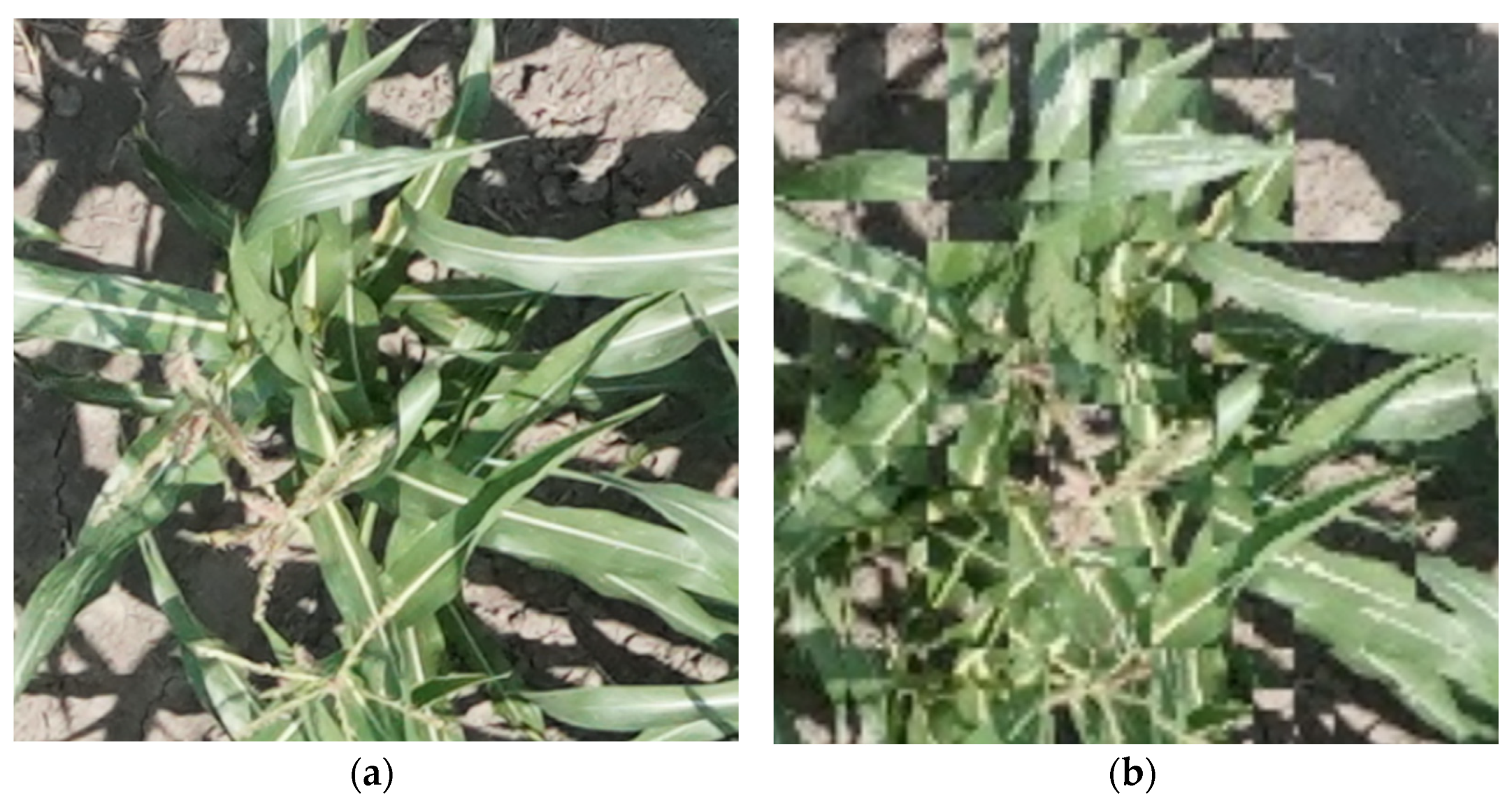 Remotesensing 13 00860 g003 Remotesensing 13 00860 g003