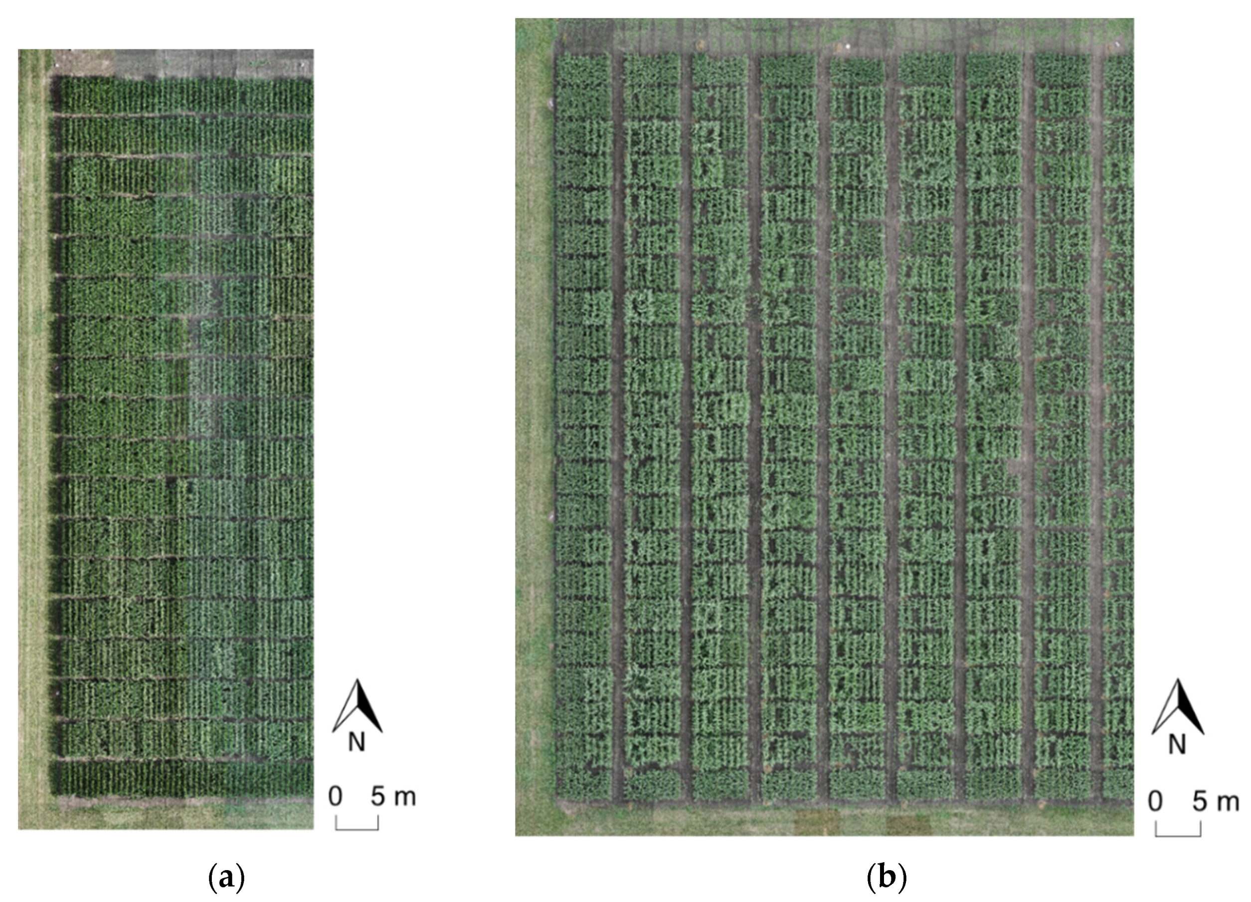 Remotesensing 13 00860 g006 Remotesensing 13 00860 g006