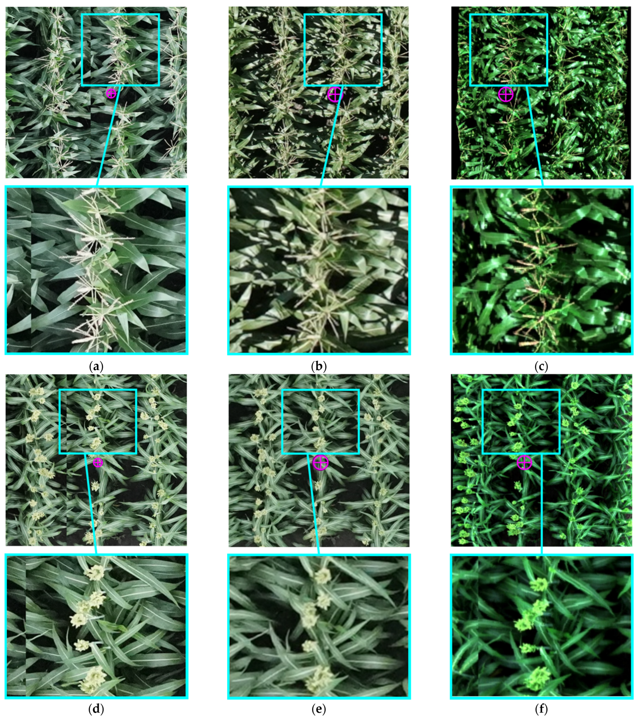 Remotesensing 13 00860 g018 Remotesensing 13 00860 g018