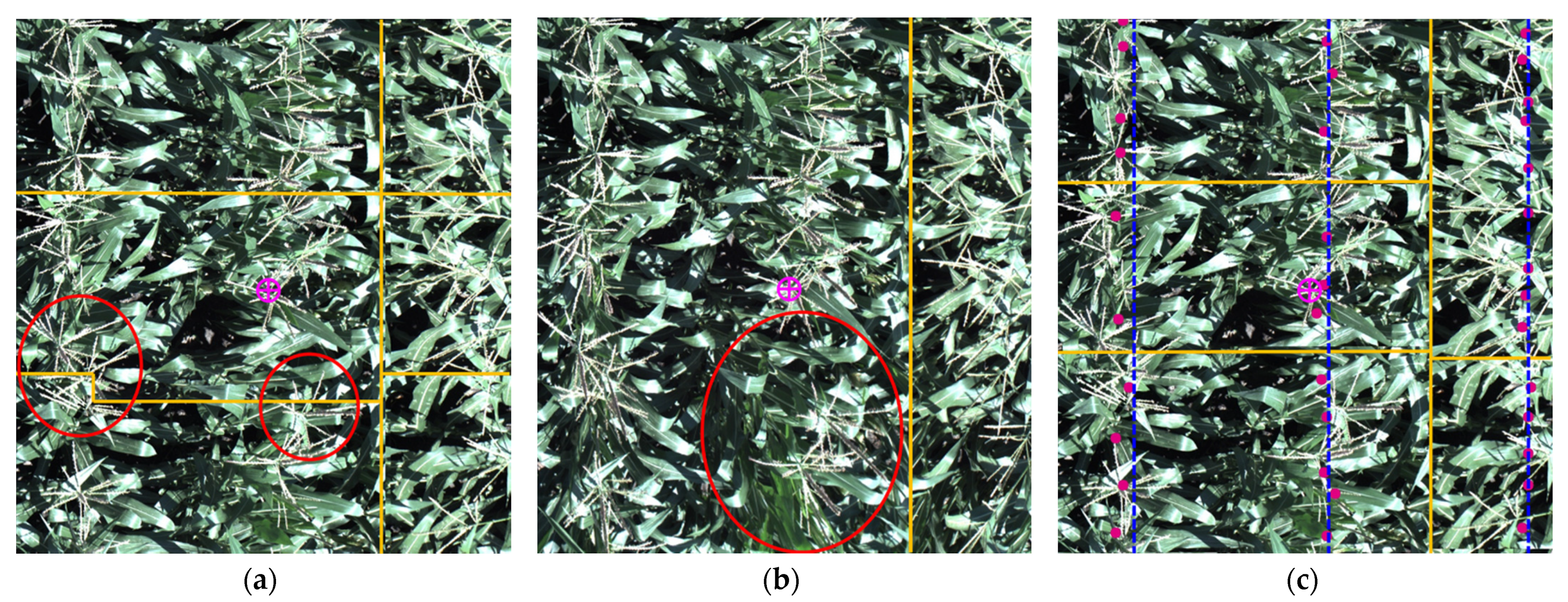 Remotesensing 13 00860 g020 Remotesensing 13 00860 g020