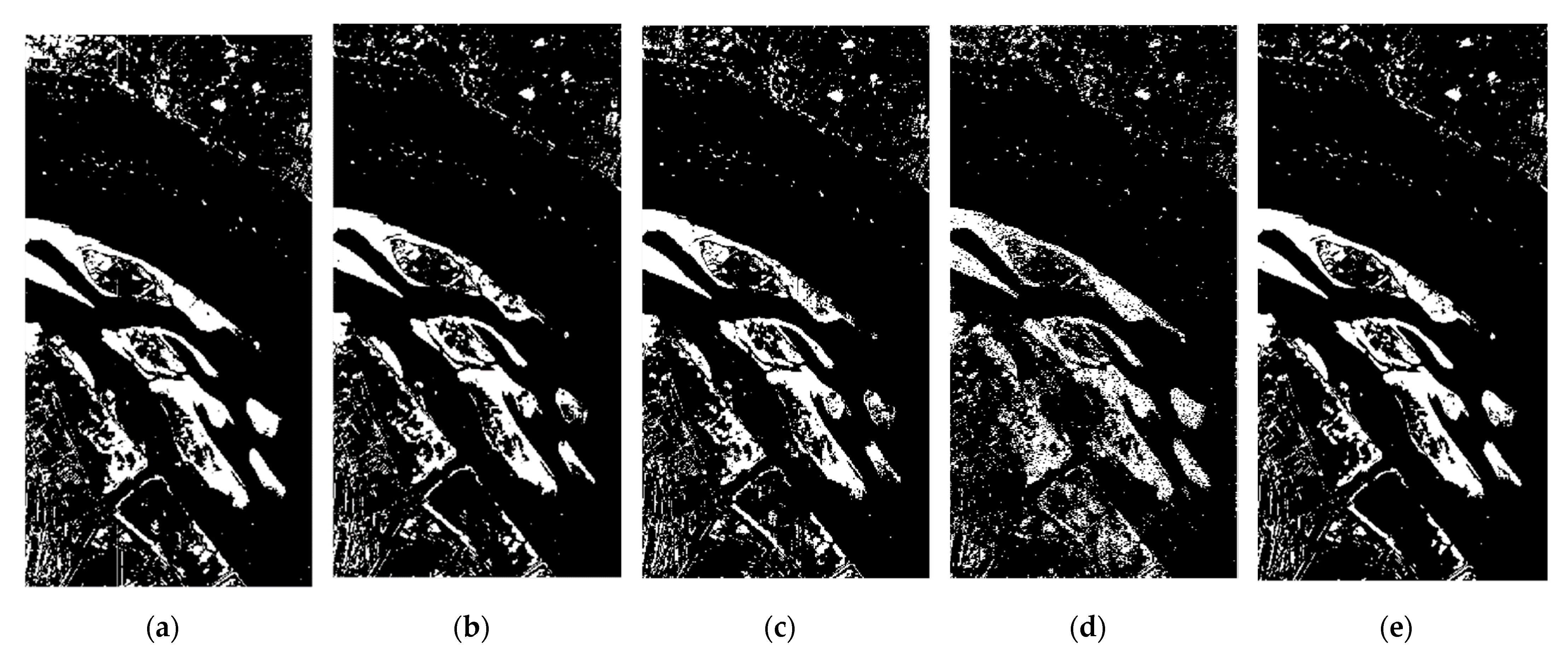 Remotesensing 13 00895 g005a Remotesensing 13 00895 g005a