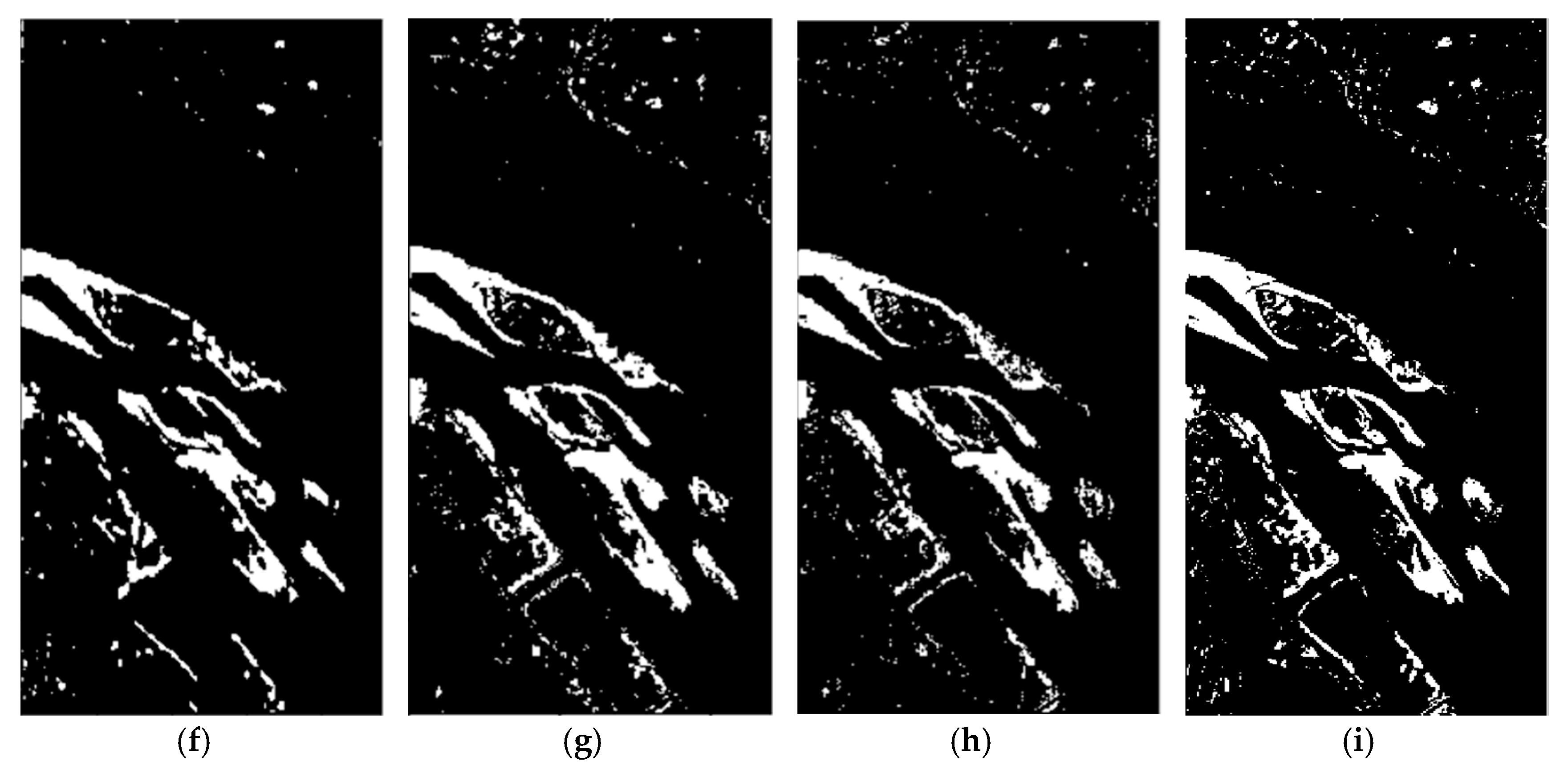 Remotesensing 13 00895 g005b Remotesensing 13 00895 g005b