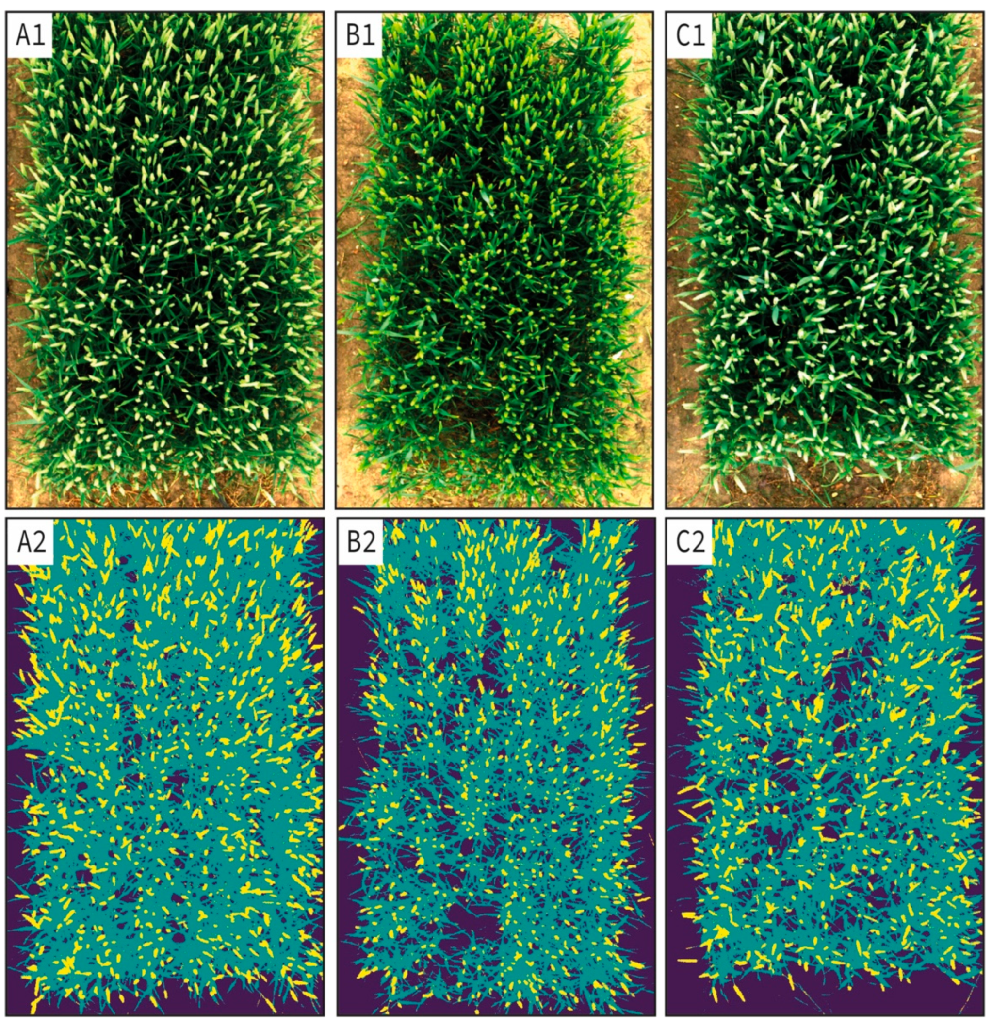 Remotesensing 13 00898 g005 Remotesensing 13 00898 g005