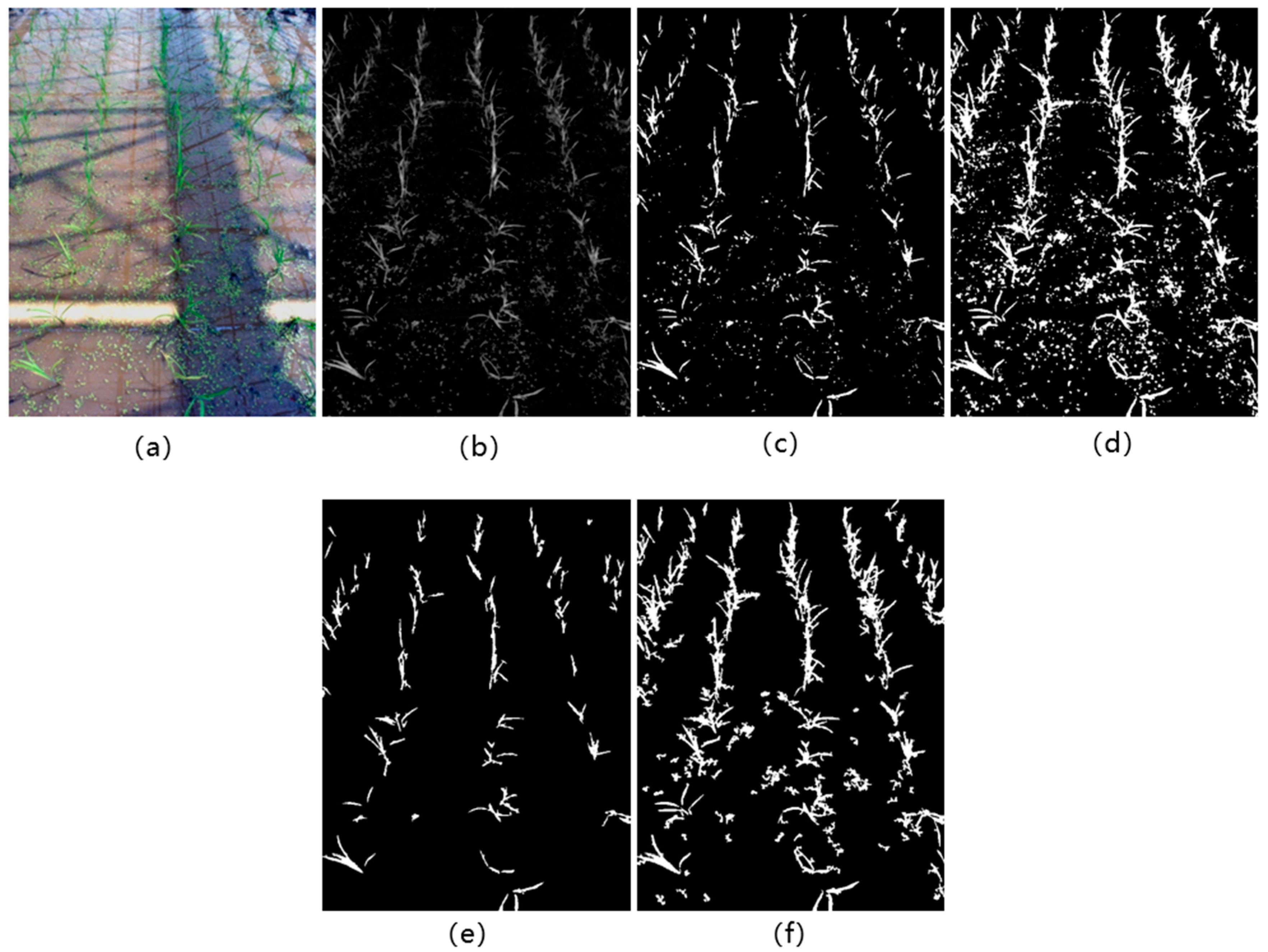 Remotesensing 13 00901 g002