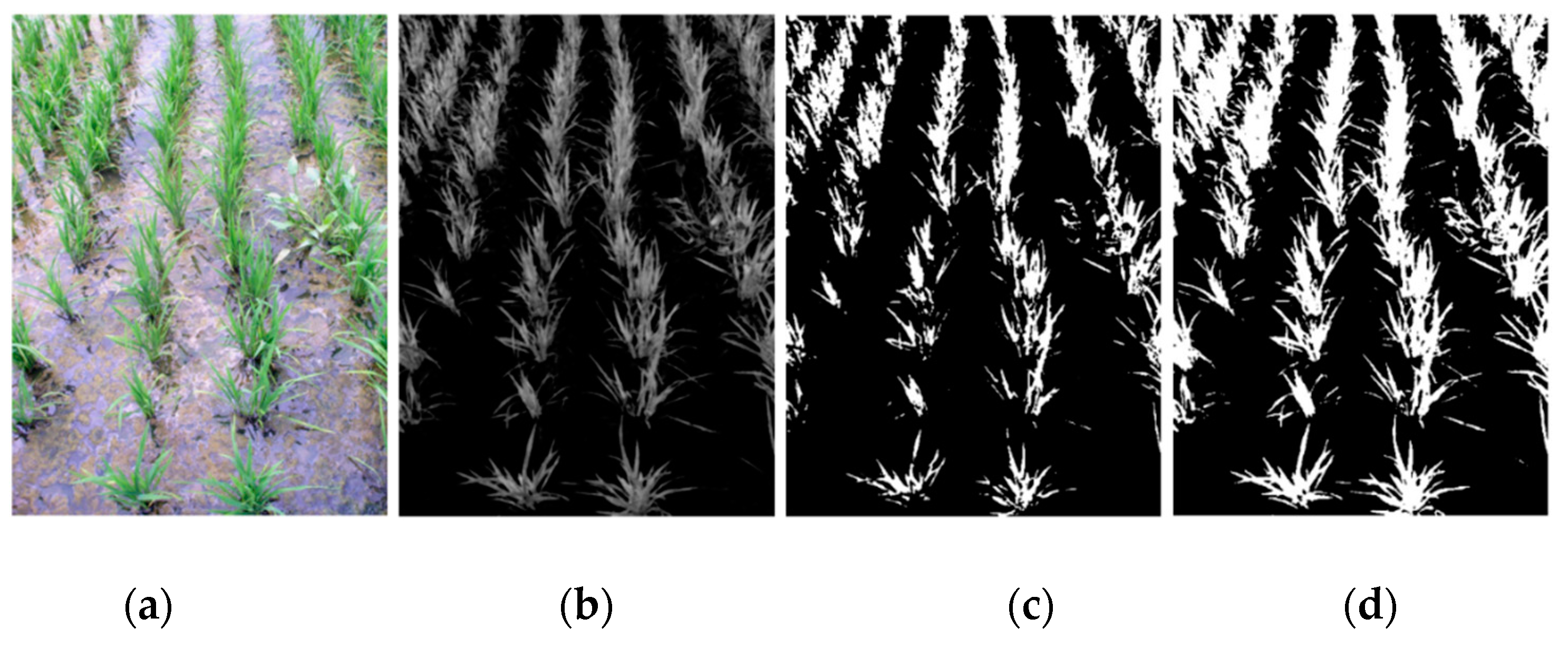 Remotesensing 13 00901 g008