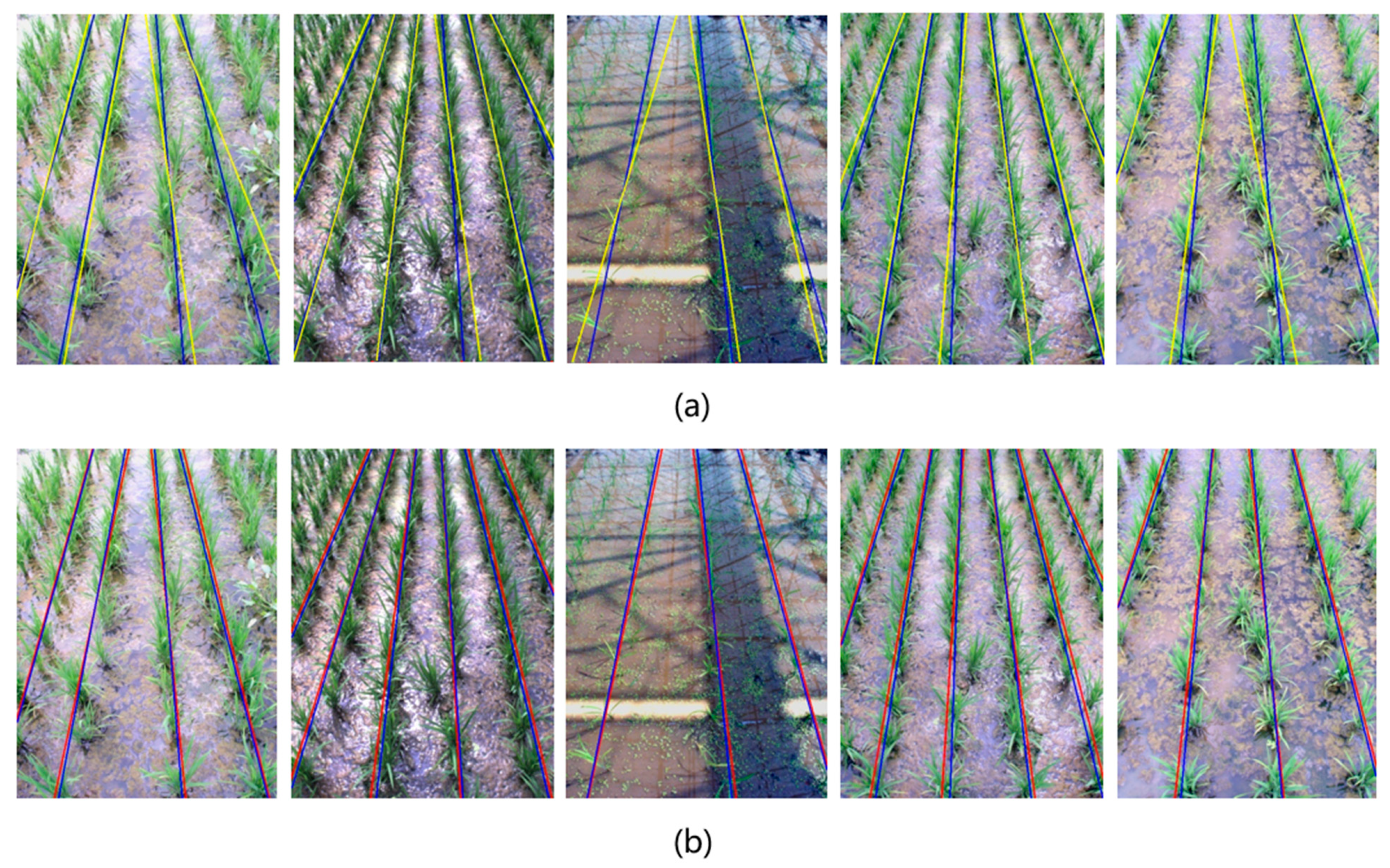 Remotesensing 13 00901 g014