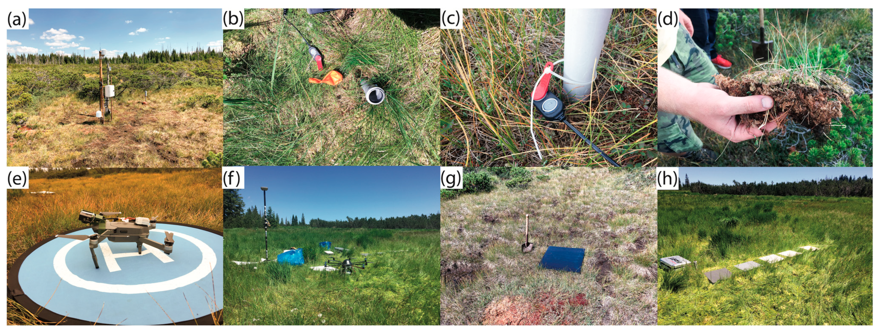 Remotesensing 13 00907 g003 Remotesensing 13 00907 g003