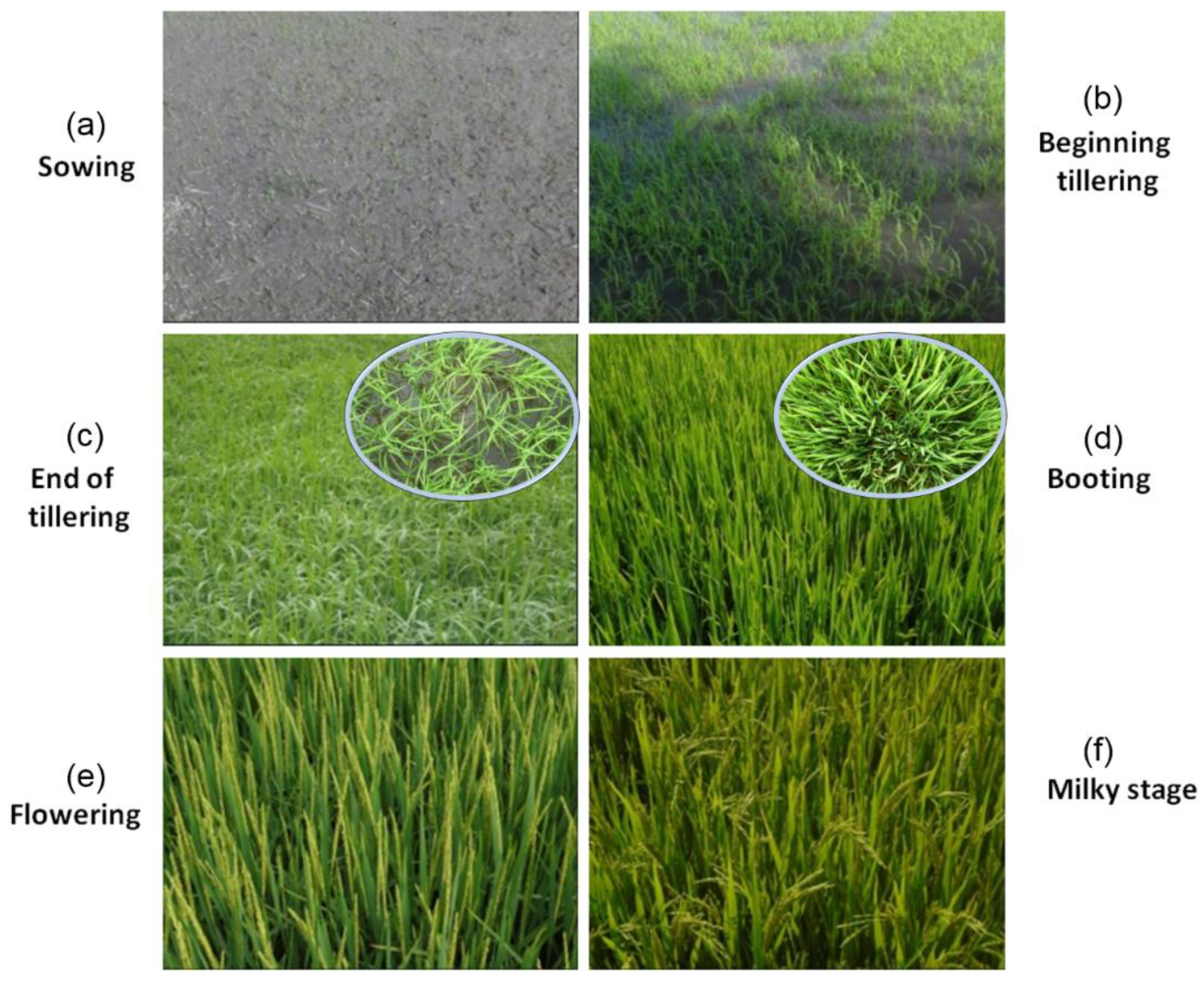 Remotesensing 13 00921 g005 Remotesensing 13 00921 g005