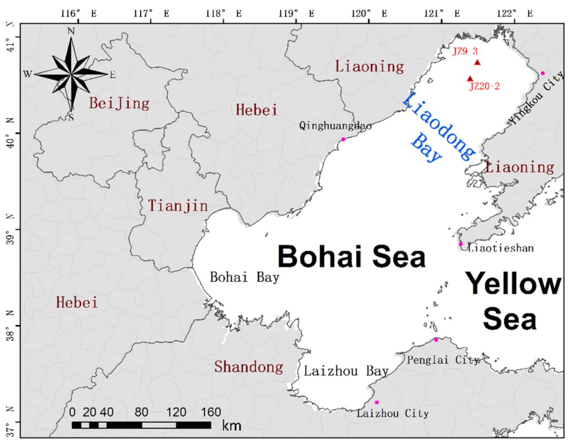 Remotesensing 13 00936 g001