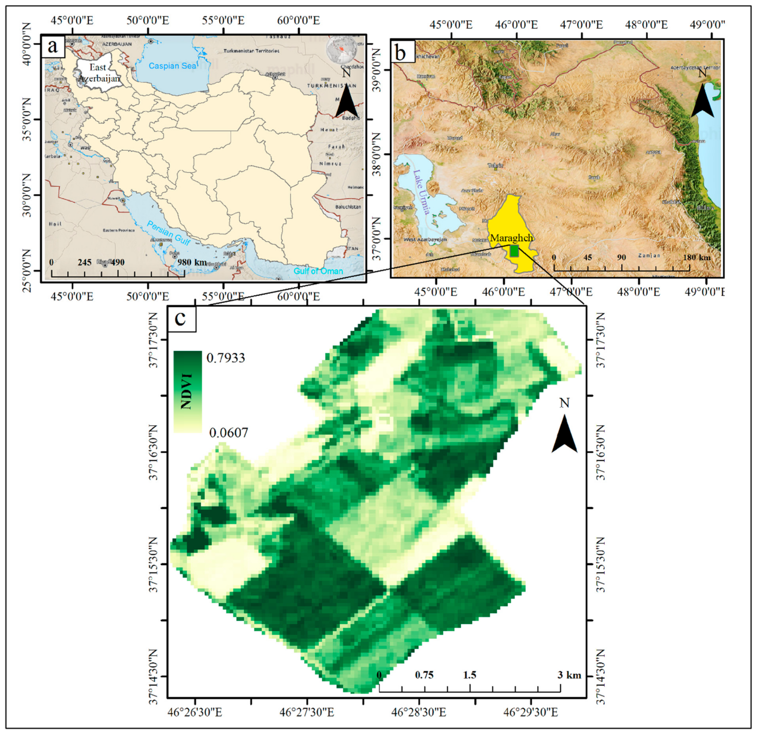 Remotesensing 13 00937 g001