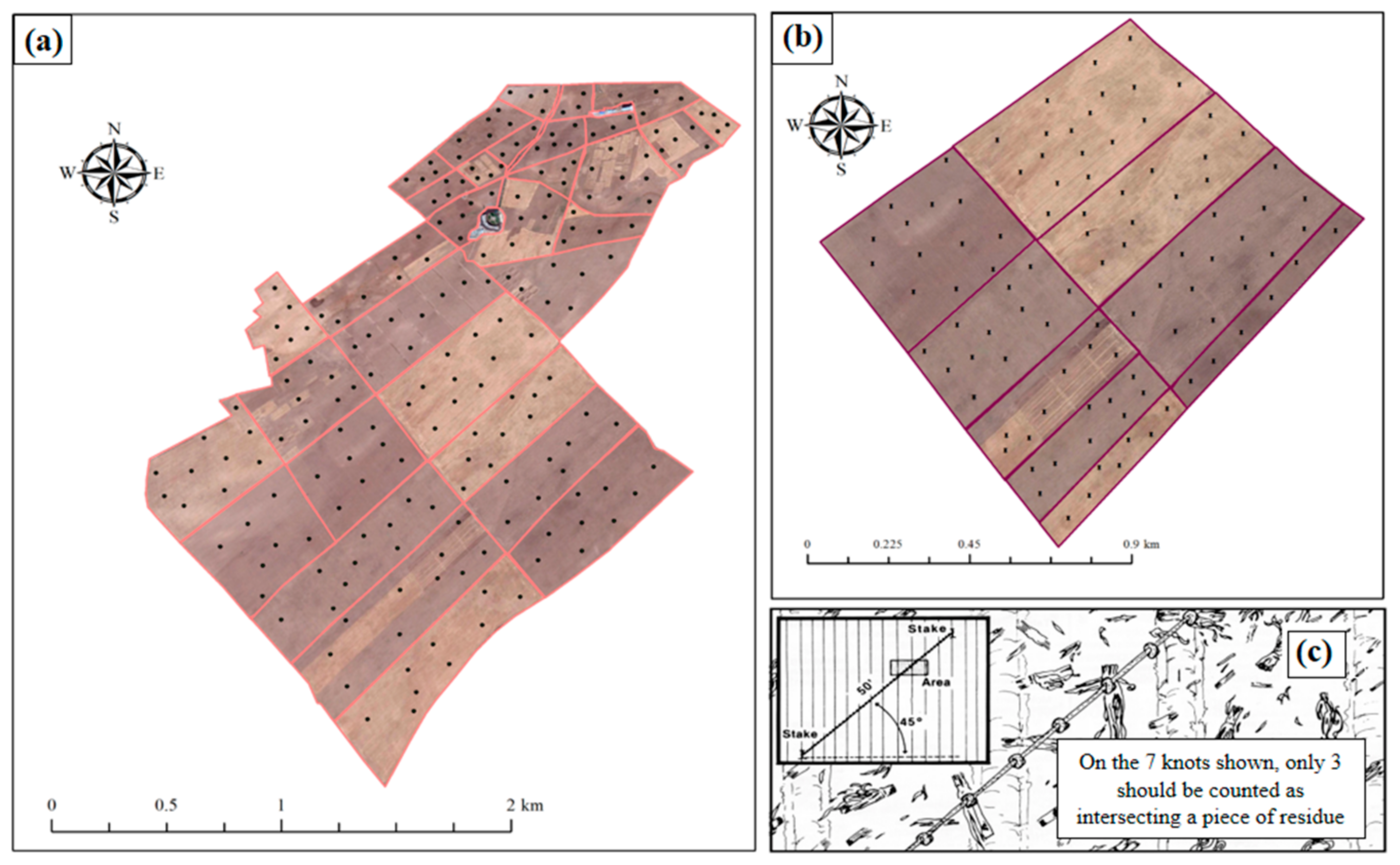 Remotesensing 13 00937 g004