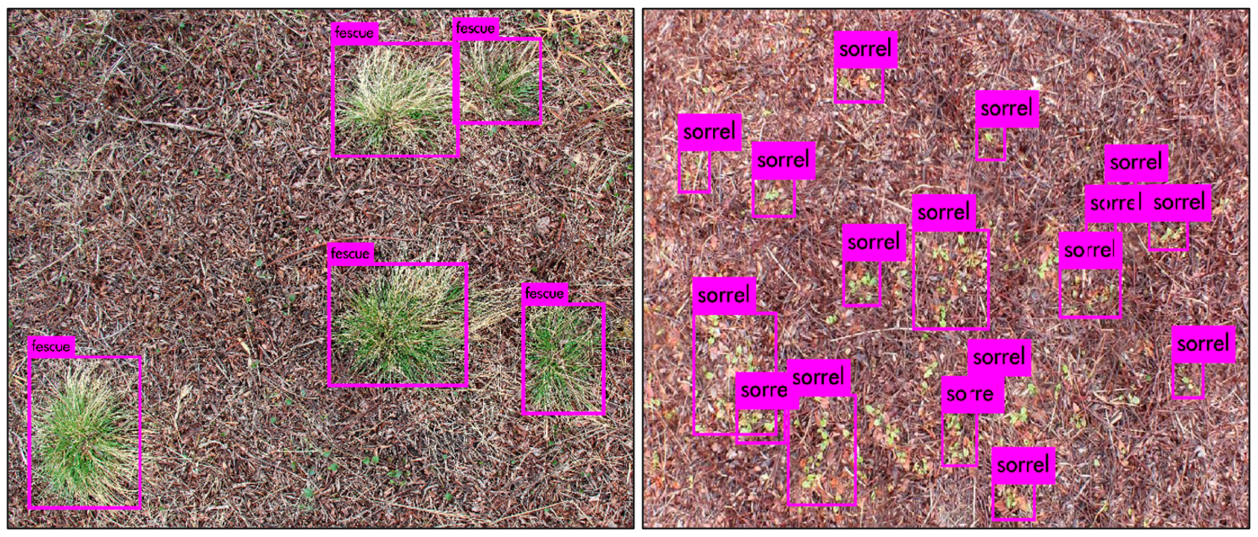 Remotesensing 13 00943 g003 Remotesensing 13 00943 g003