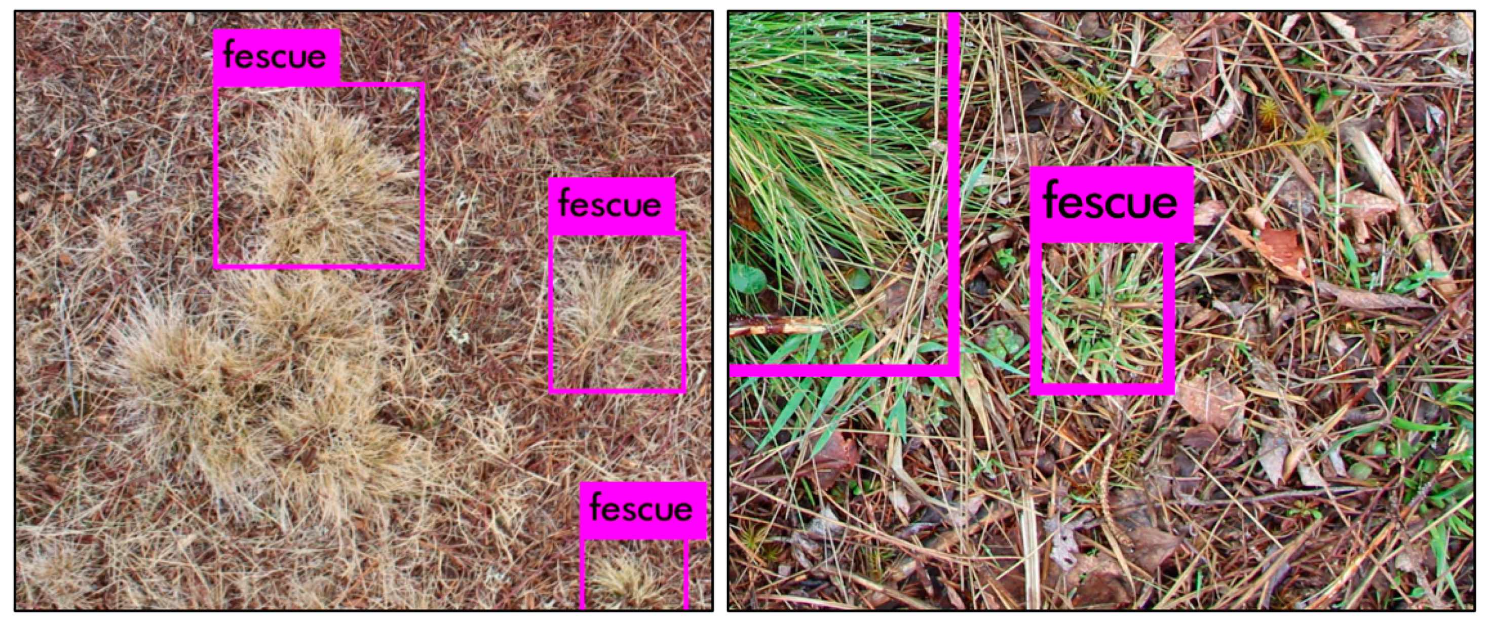 Remotesensing 13 00943 g004 Remotesensing 13 00943 g004