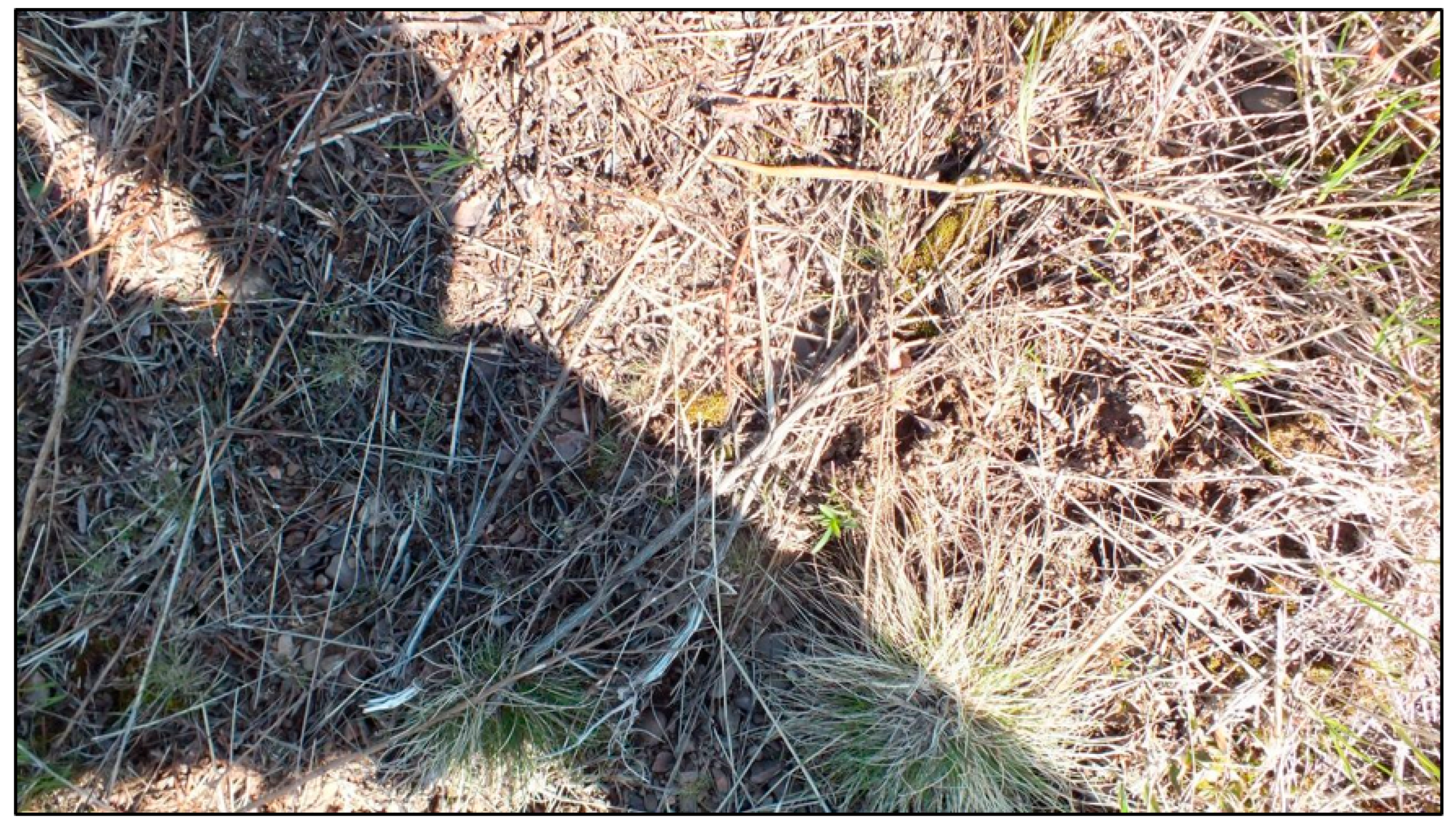 Remotesensing 13 00943 g005 Remotesensing 13 00943 g005