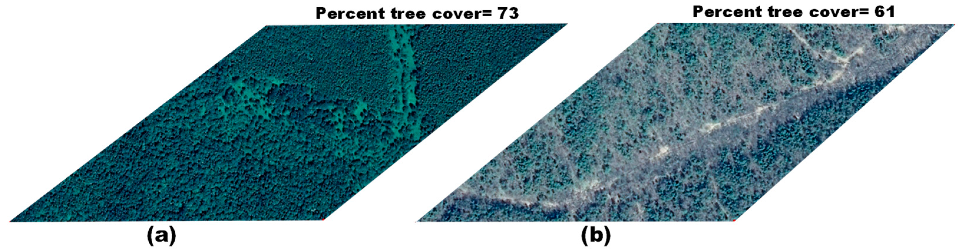 Remotesensing 13 00948 g013 Remotesensing 13 00948 g013