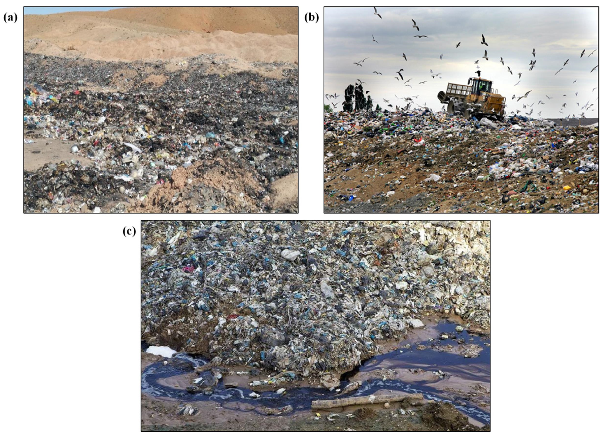 Remotesensing 13 00949 g002