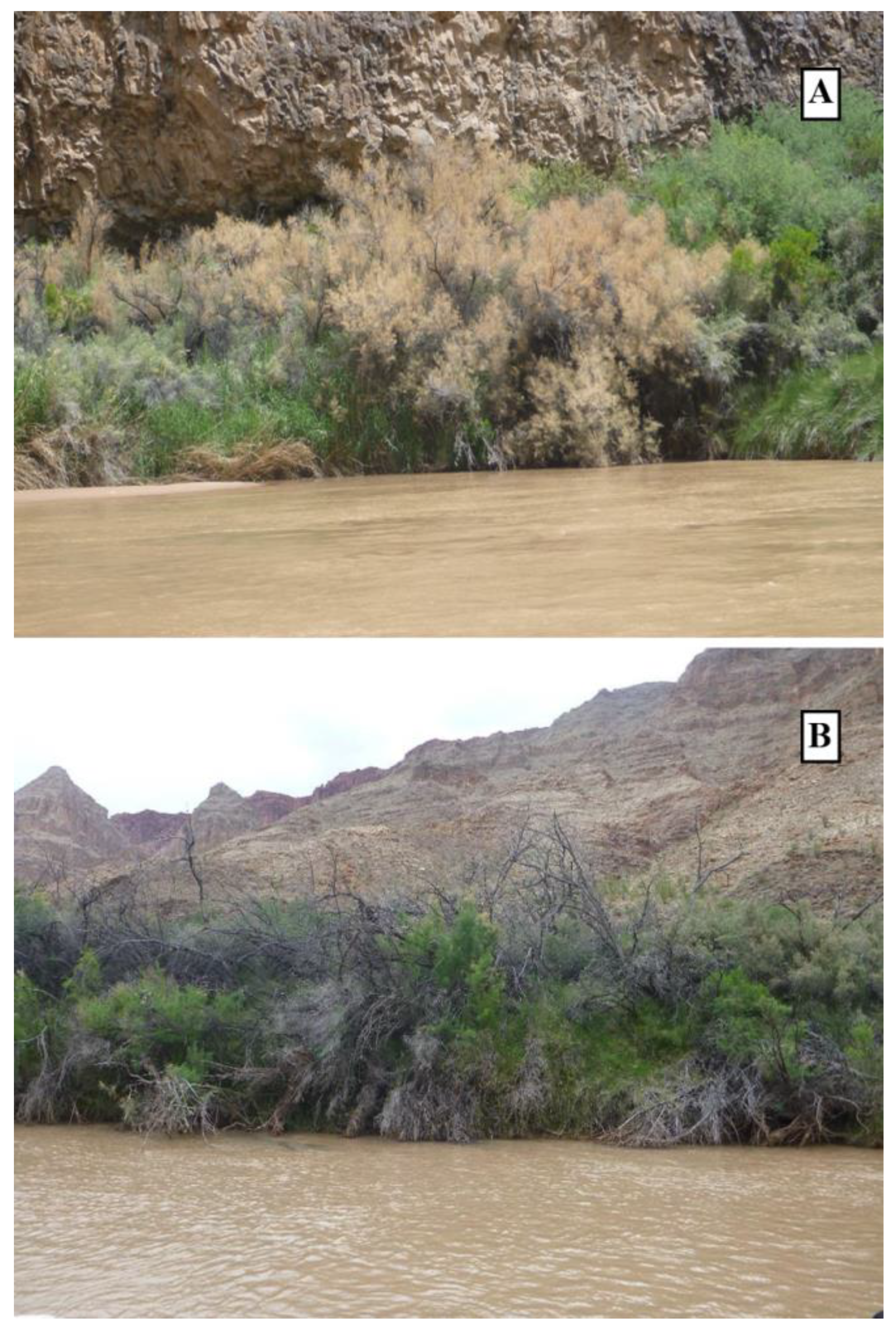 Remotesensing 13 00958 g002