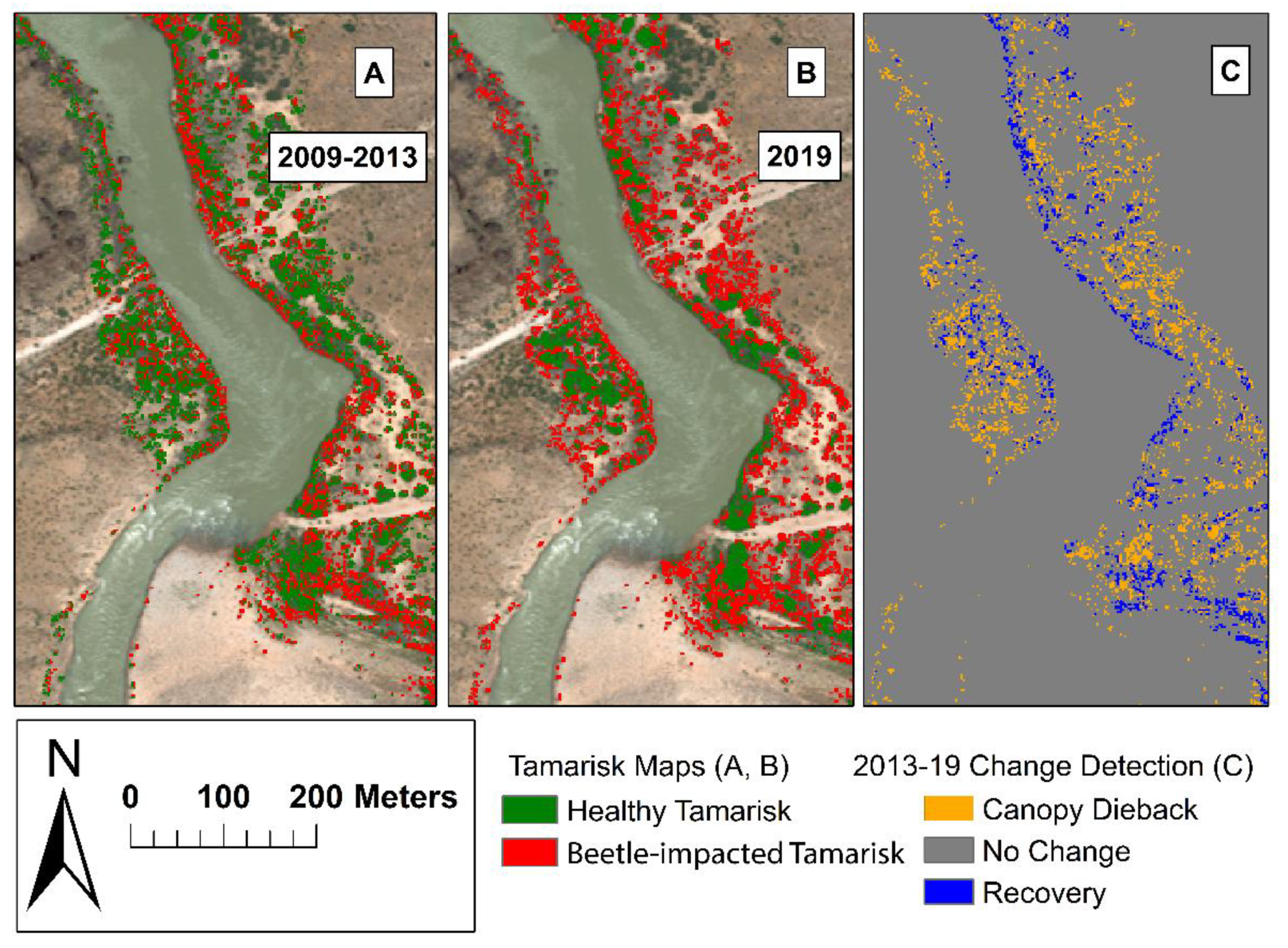 Remotesensing 13 00958 g006