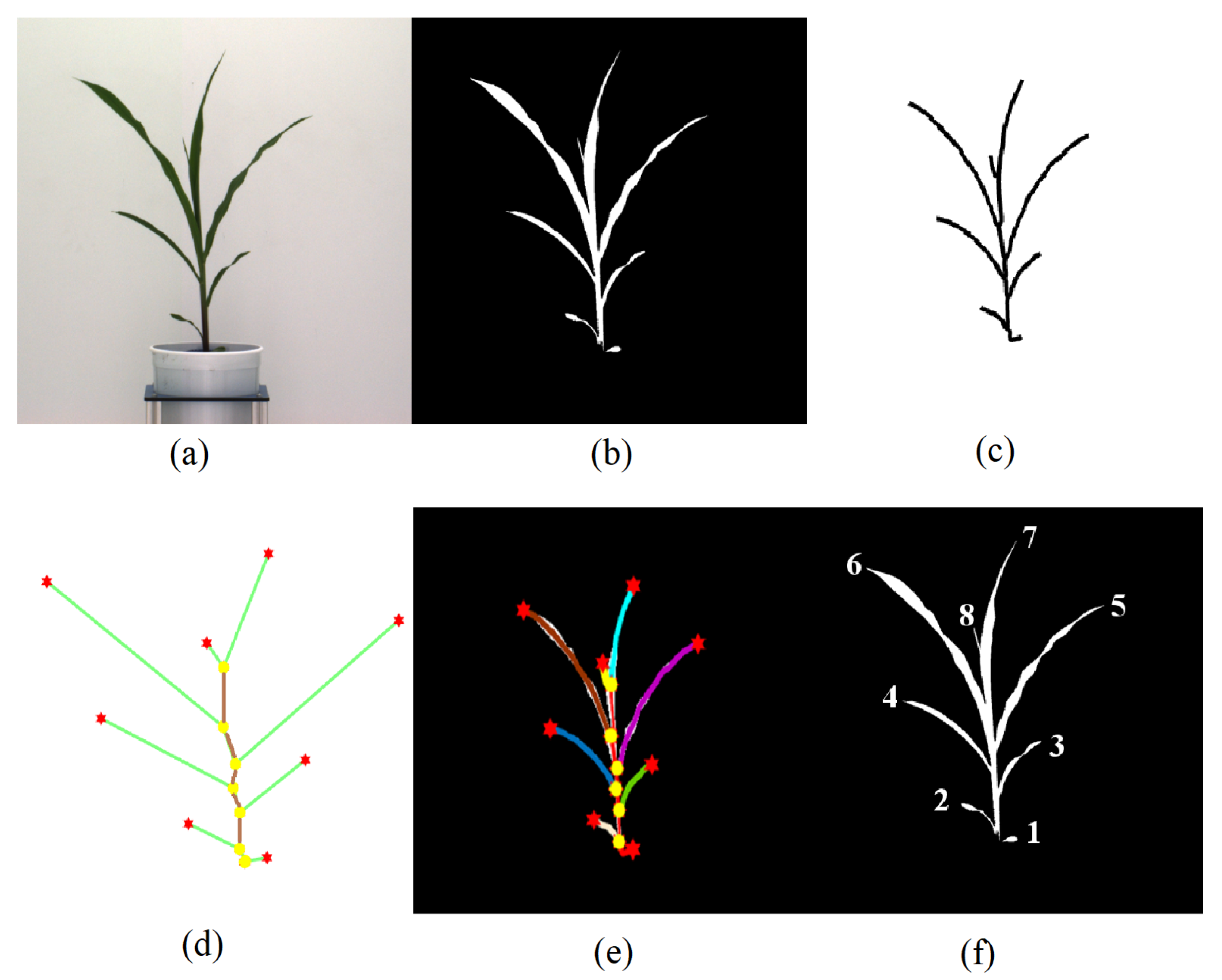 Remotesensing 13 00961 g001 Remotesensing 13 00961 g001