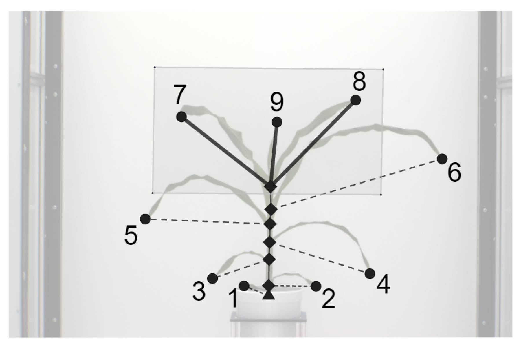 Remotesensing 13 00961 g003 Remotesensing 13 00961 g003