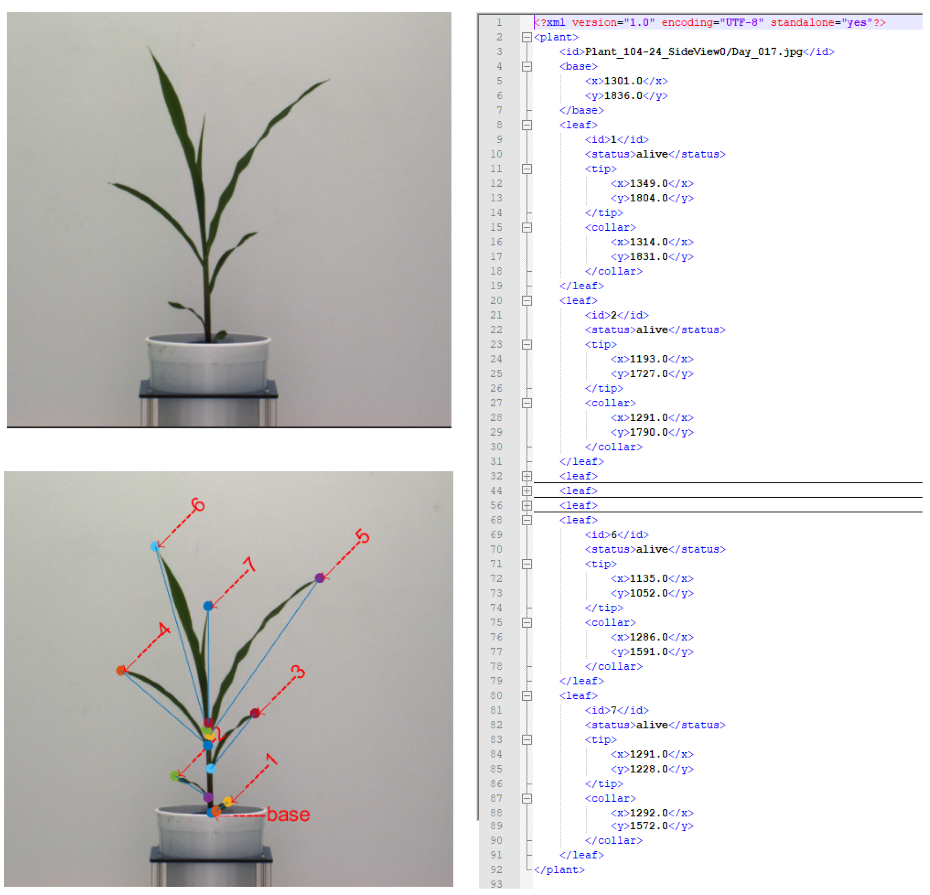 Remotesensing 13 00961 g006 Remotesensing 13 00961 g006