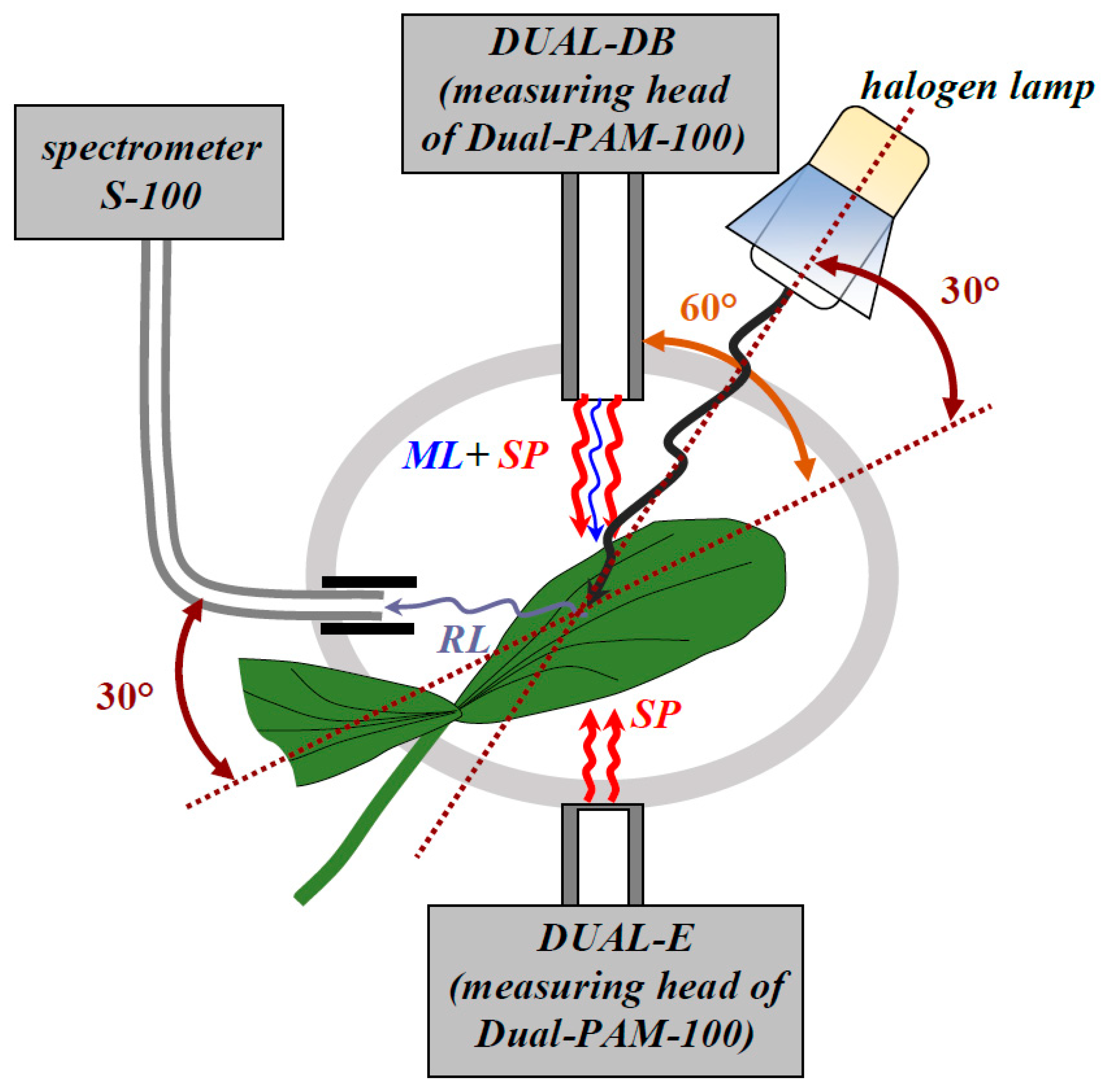 Remotesensing 13 00962 g001