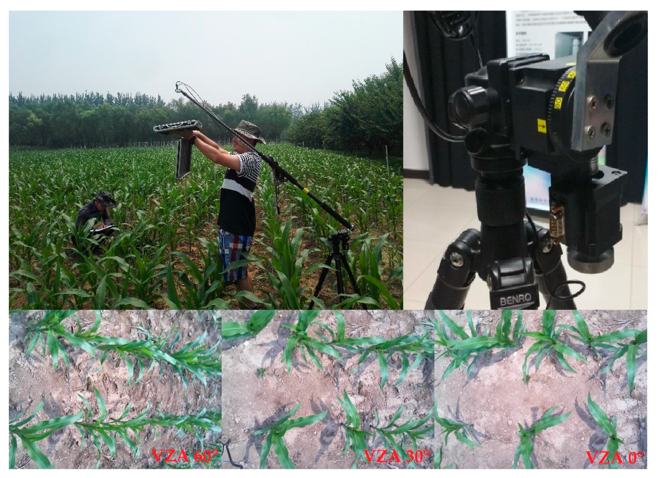 Remotesensing 13 00987 g001 Remotesensing 13 00987 g001