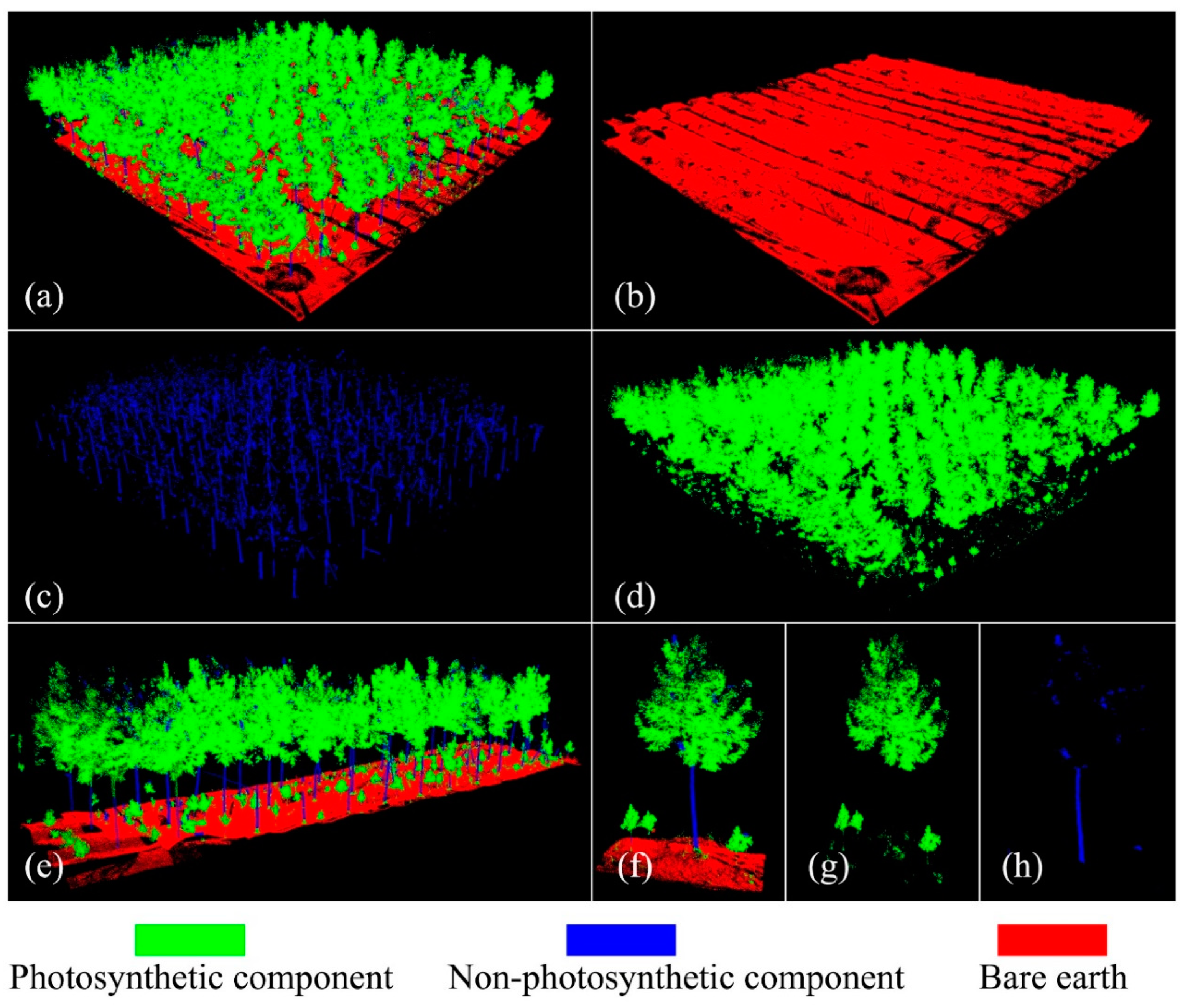 Remotesensing 13 01002 g005 Remotesensing 13 01002 g005