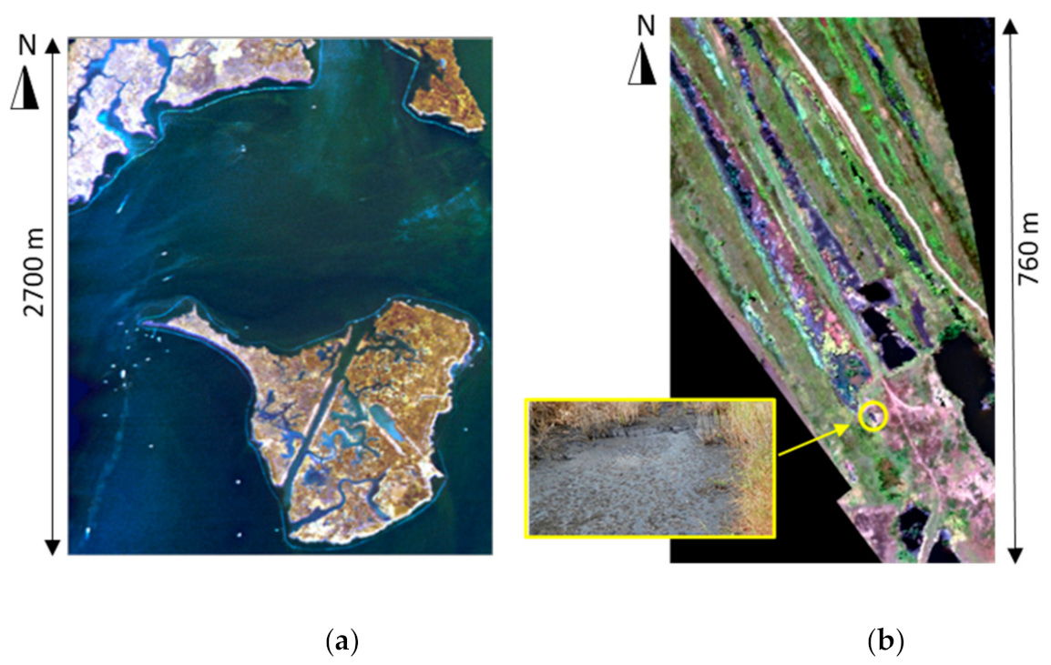 Remotesensing 13 01020 g003 550