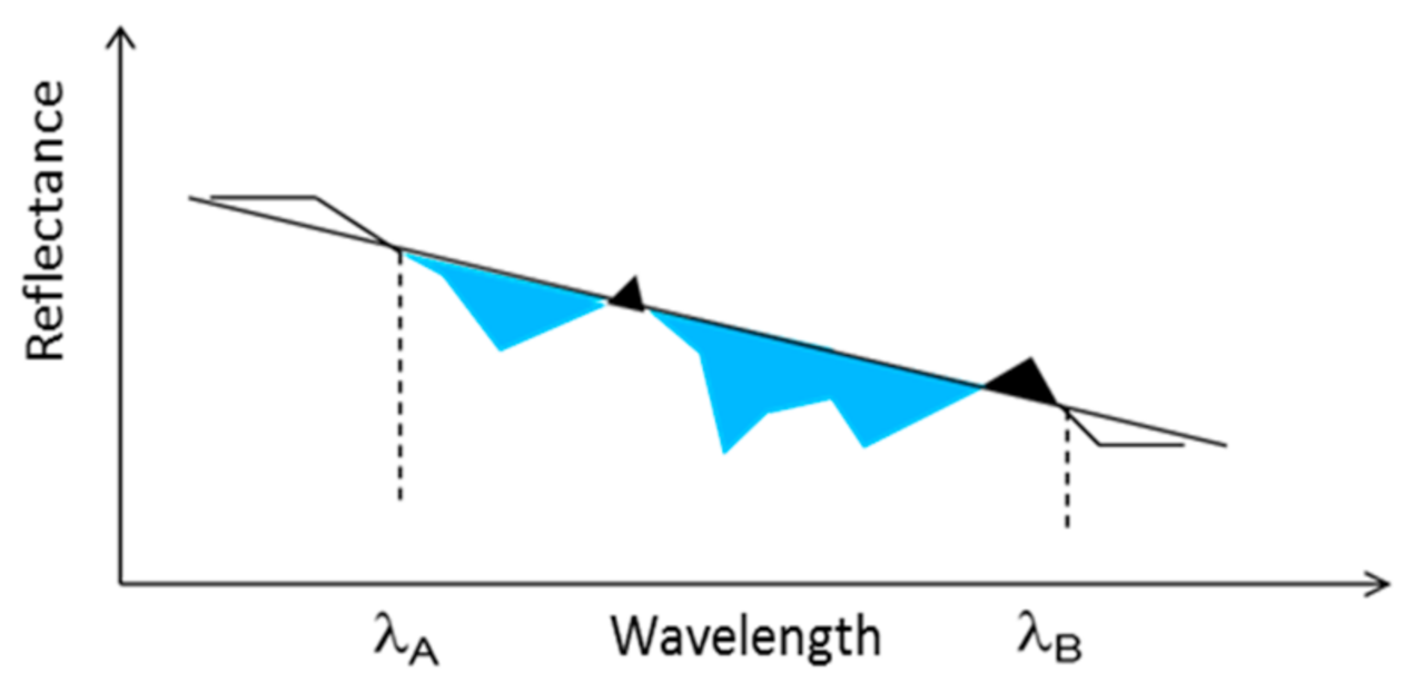 Remotesensing 13 01020 g004 550