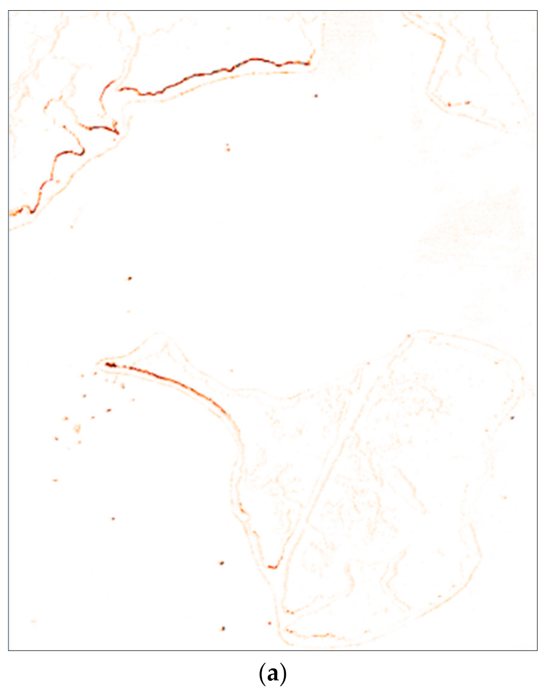 Remotesensing 13 01020 g011a 550
