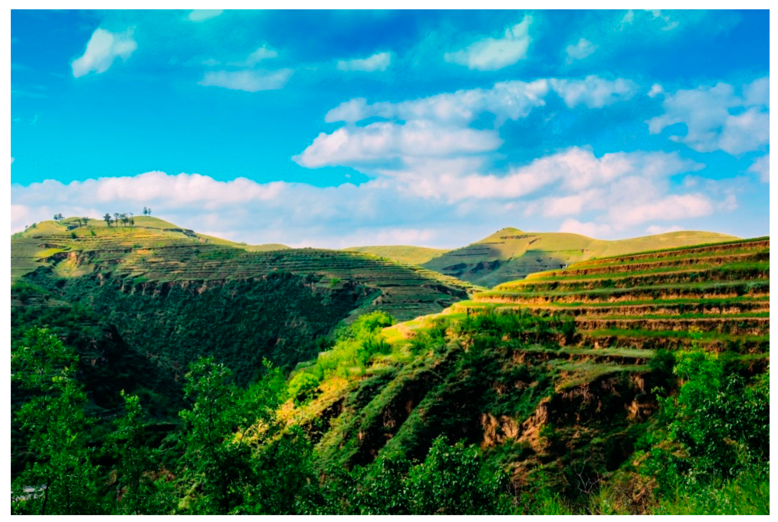 Remotesensing 13 01021 g001 Remotesensing 13 01021 g001