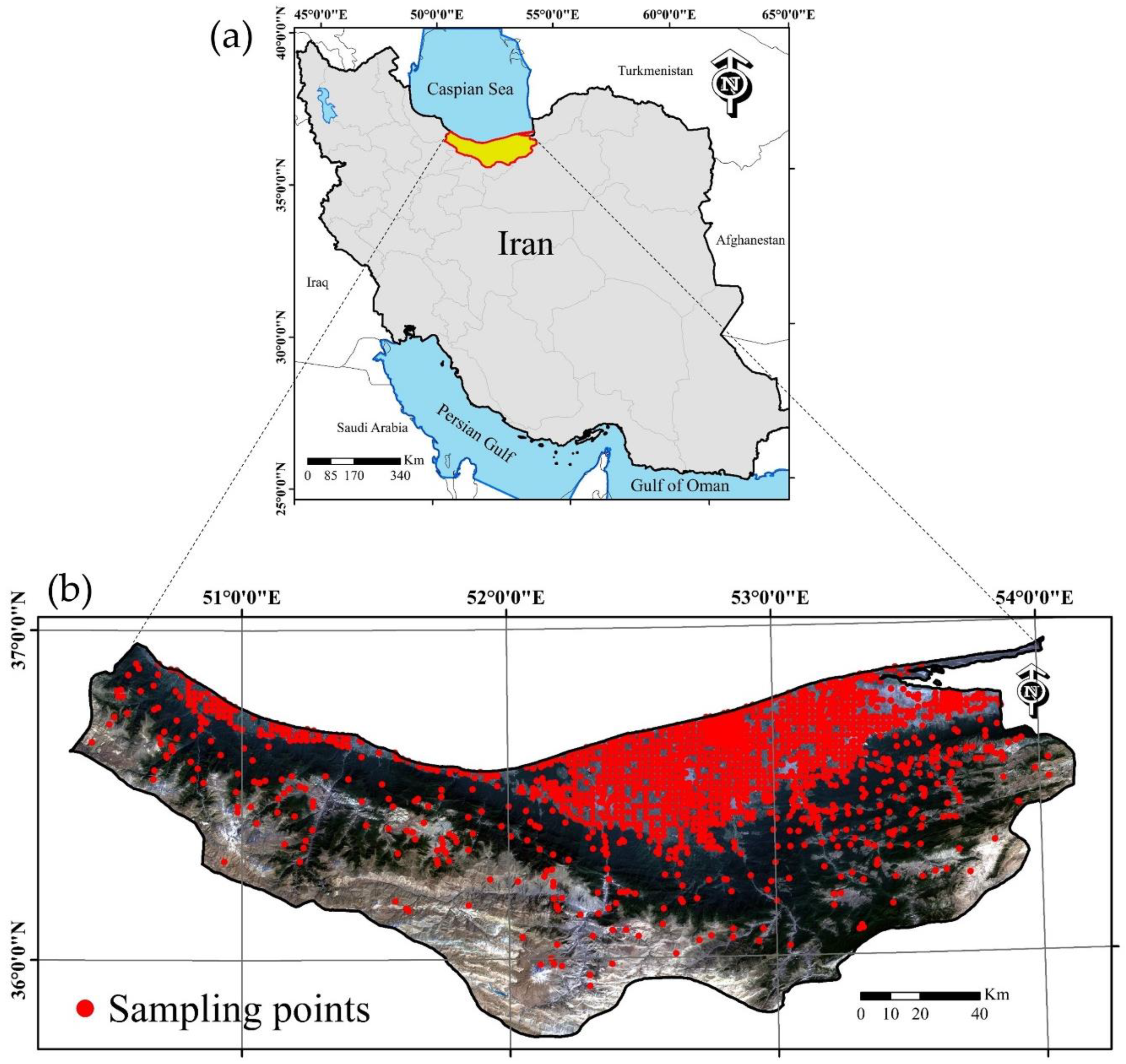 Remotesensing 13 01025 g001 Remotesensing 13 01025 g001