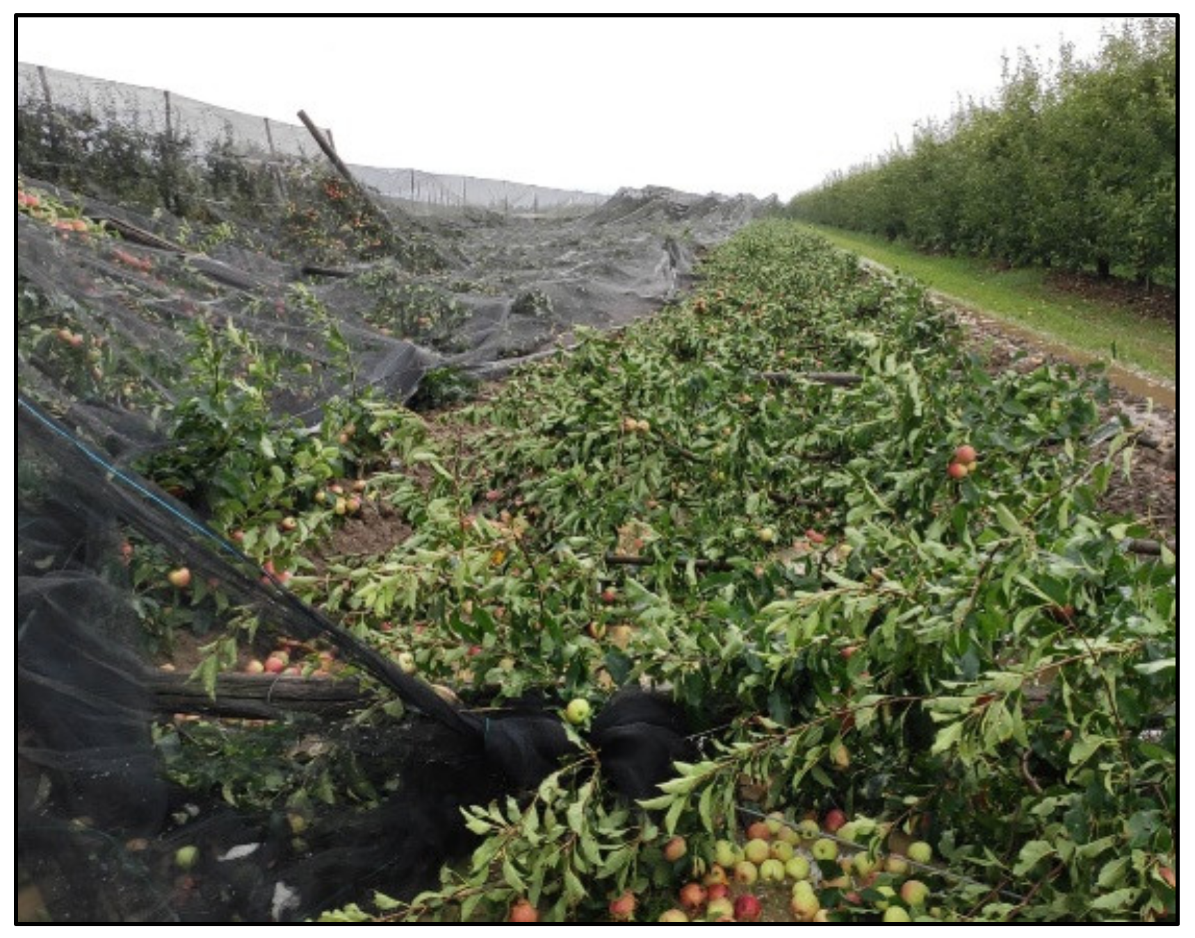 Remotesensing 13 01030 g001 Remotesensing 13 01030 g001