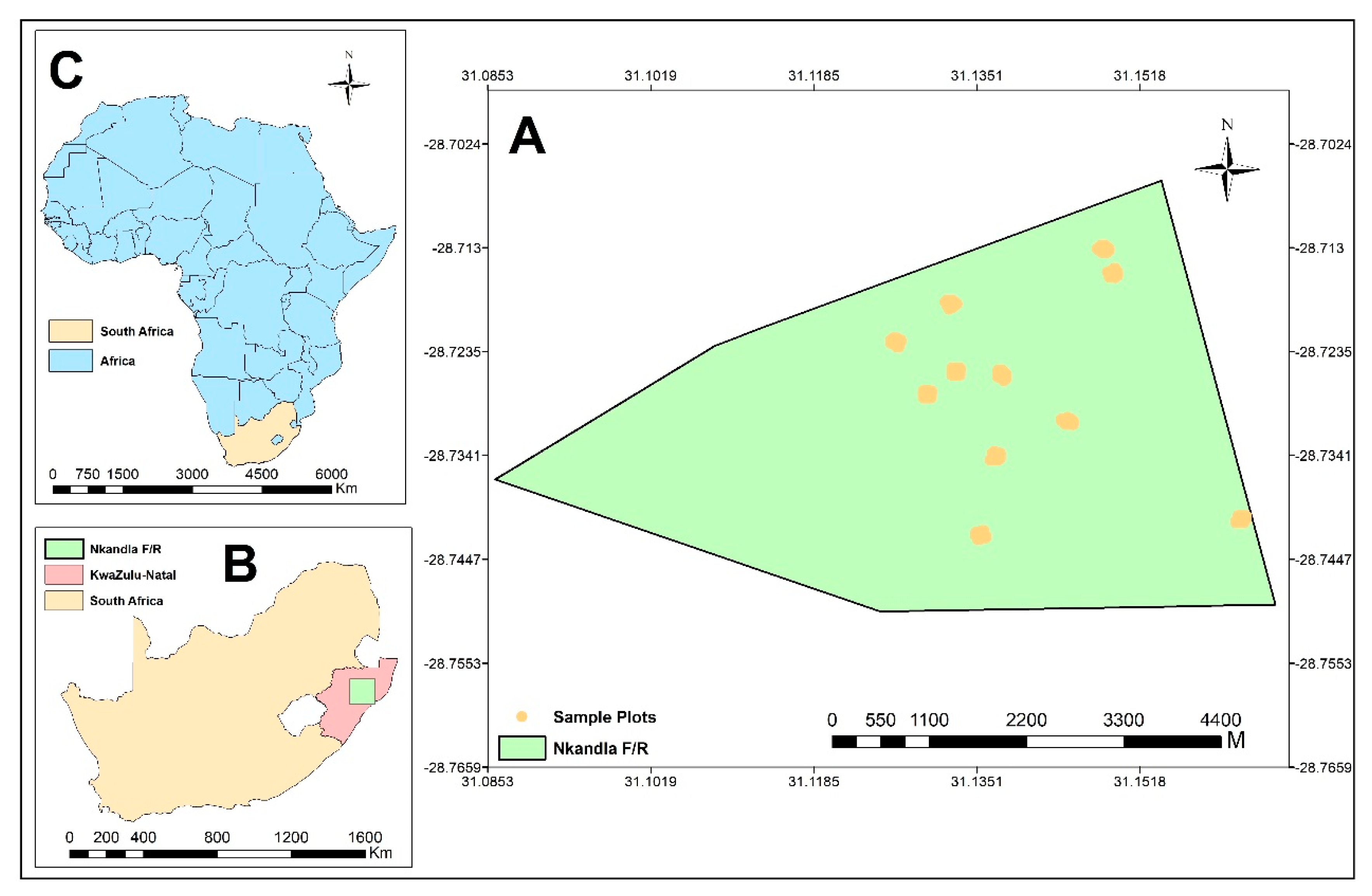 Remotesensing 13 01033 g001 Remotesensing 13 01033 g001