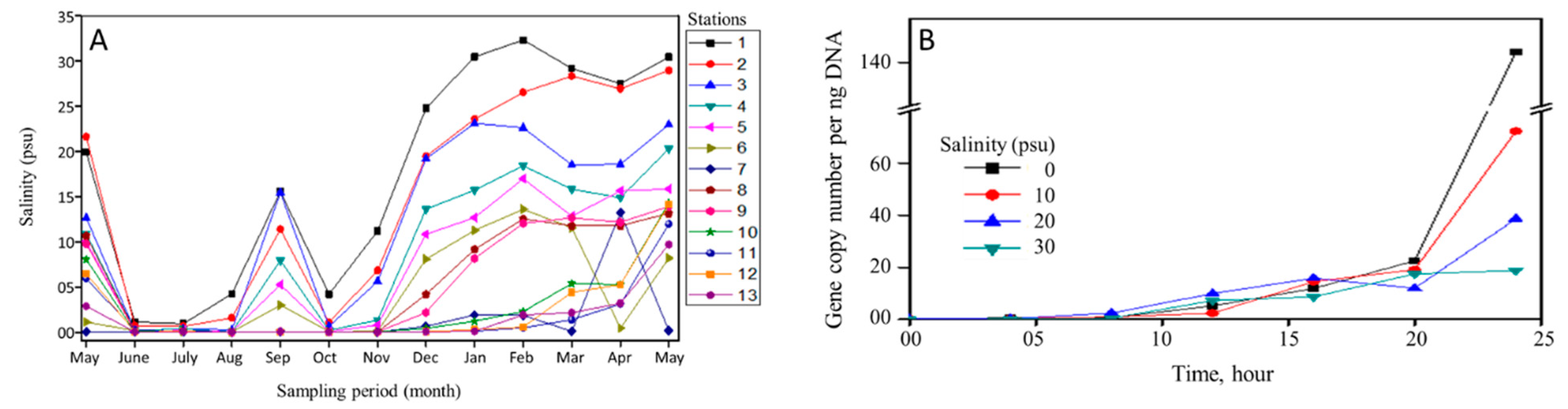 Remotesensing 13 01034 g002 Remotesensing 13 01034 g002