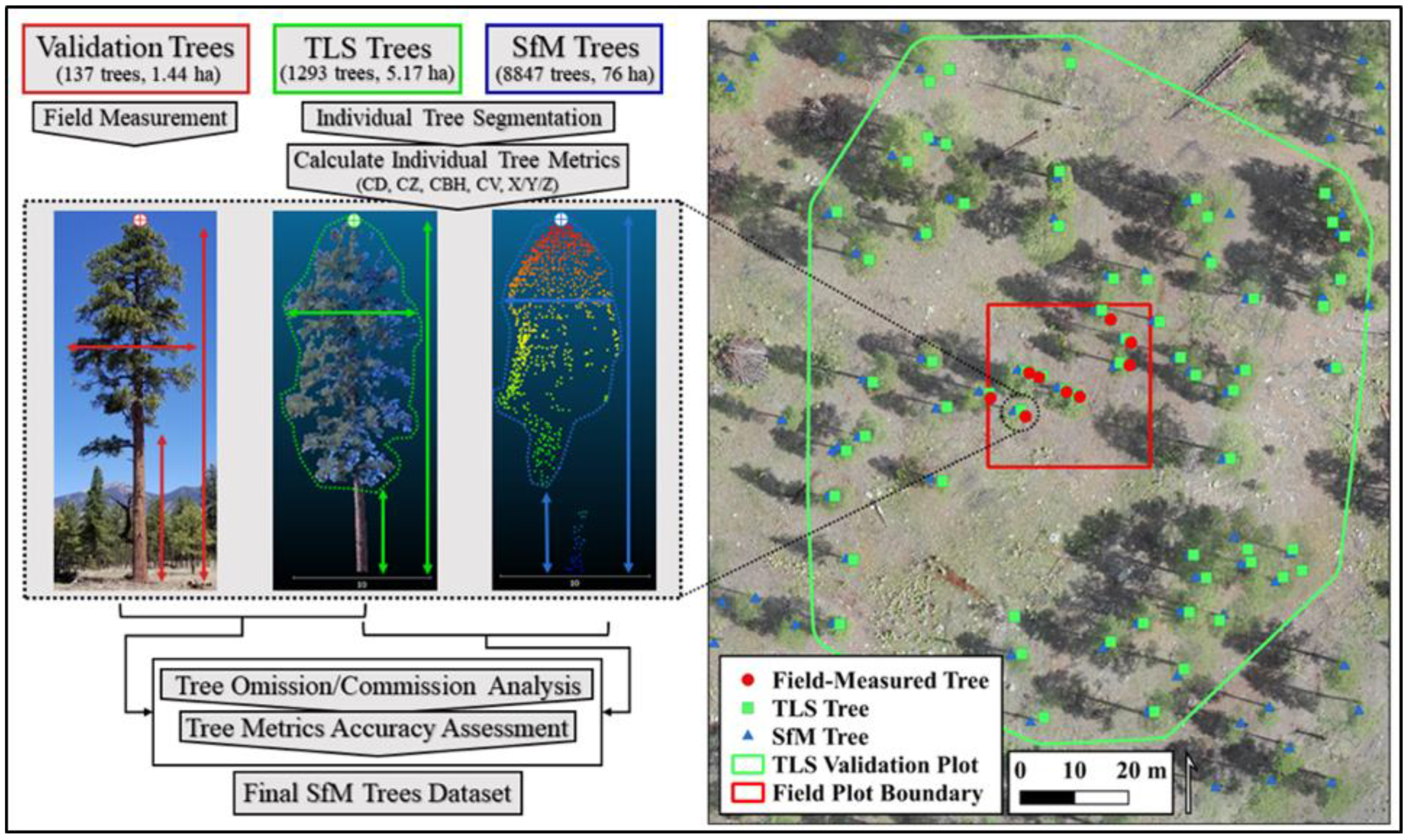 Remotesensing 13 01036 g003 Remotesensing 13 01036 g003