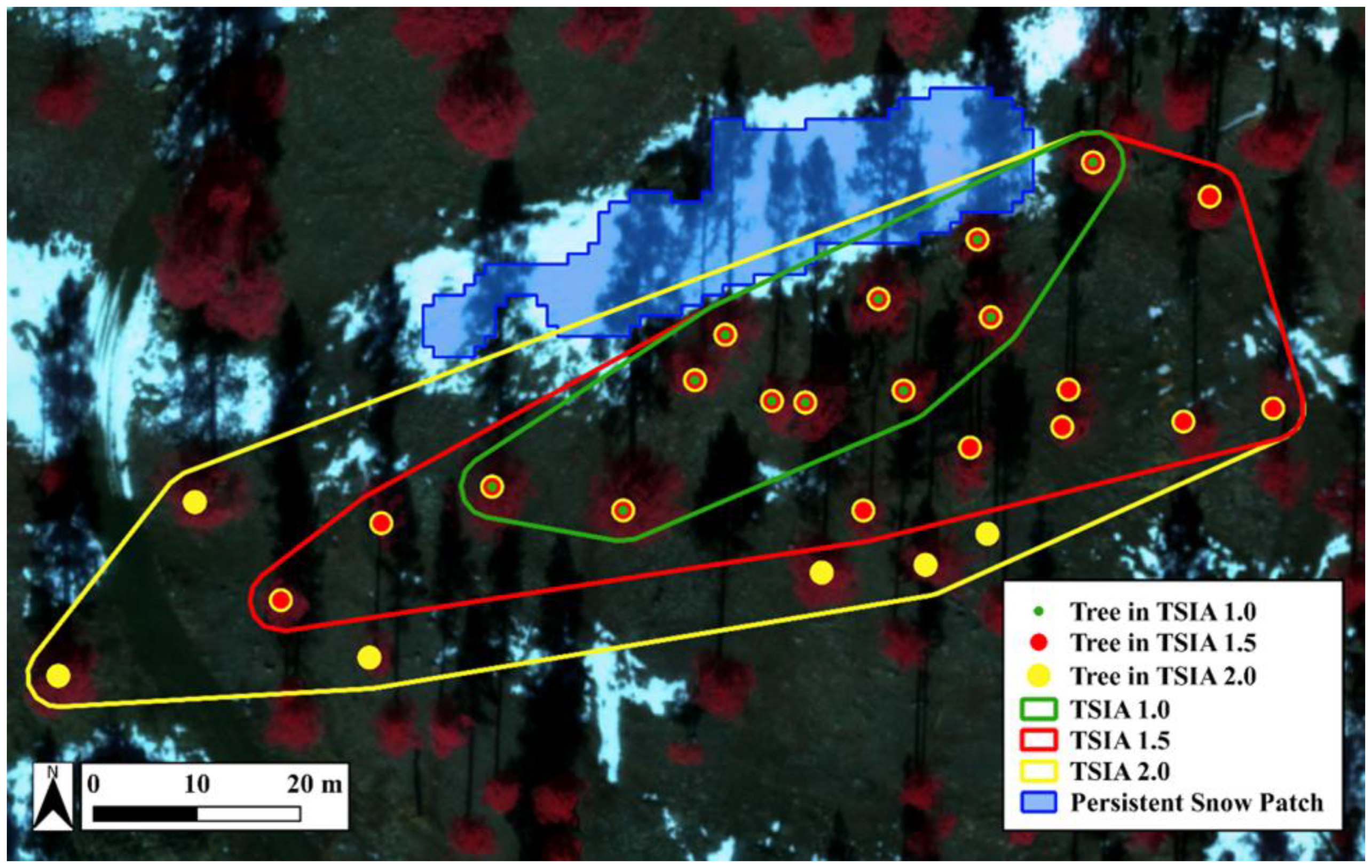 Remotesensing 13 01036 g004 Remotesensing 13 01036 g004